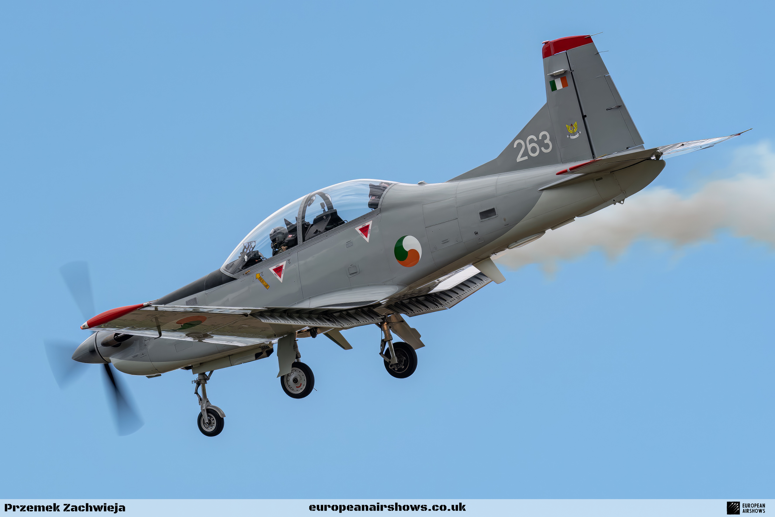 Birr Air Display 2023 Logo (32).png