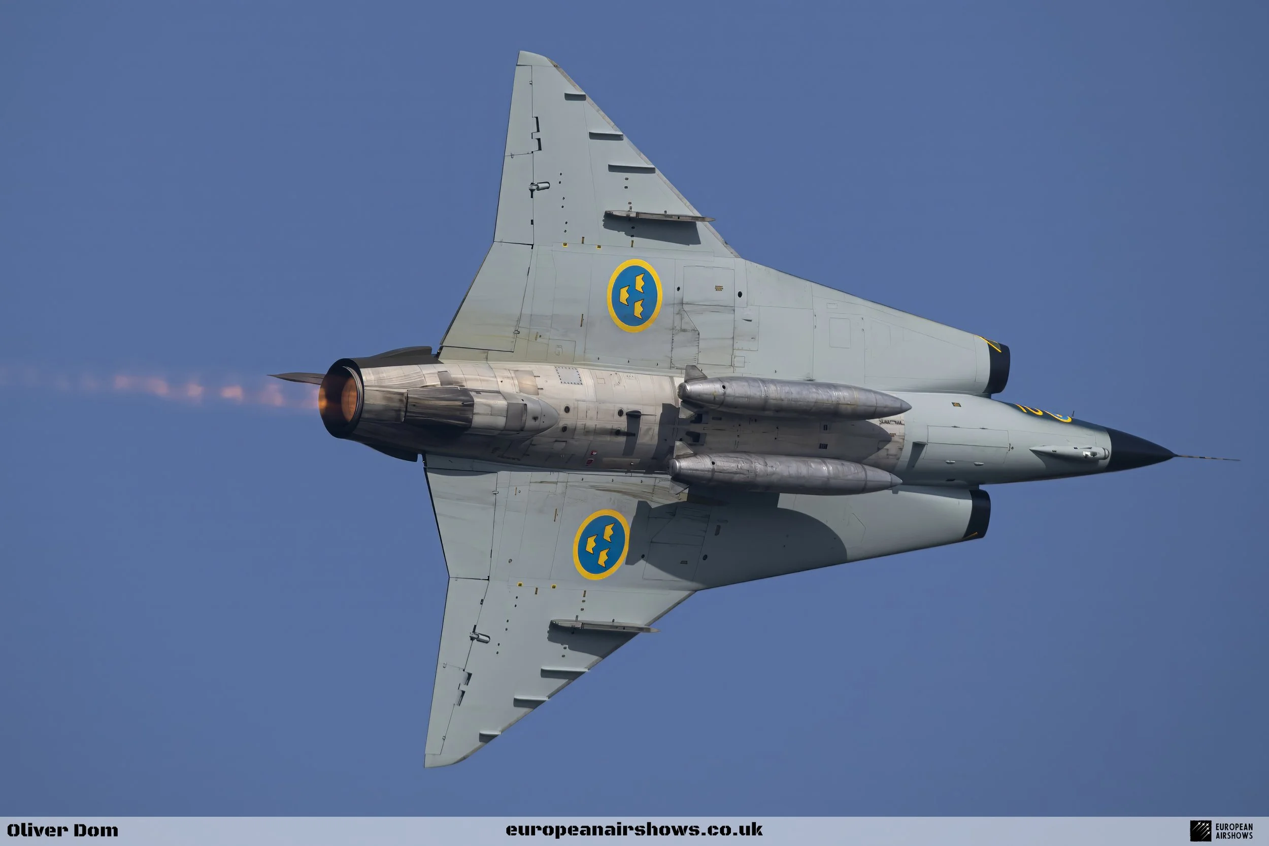 Belgian Air Force Days 2023 Logo (282).jpg