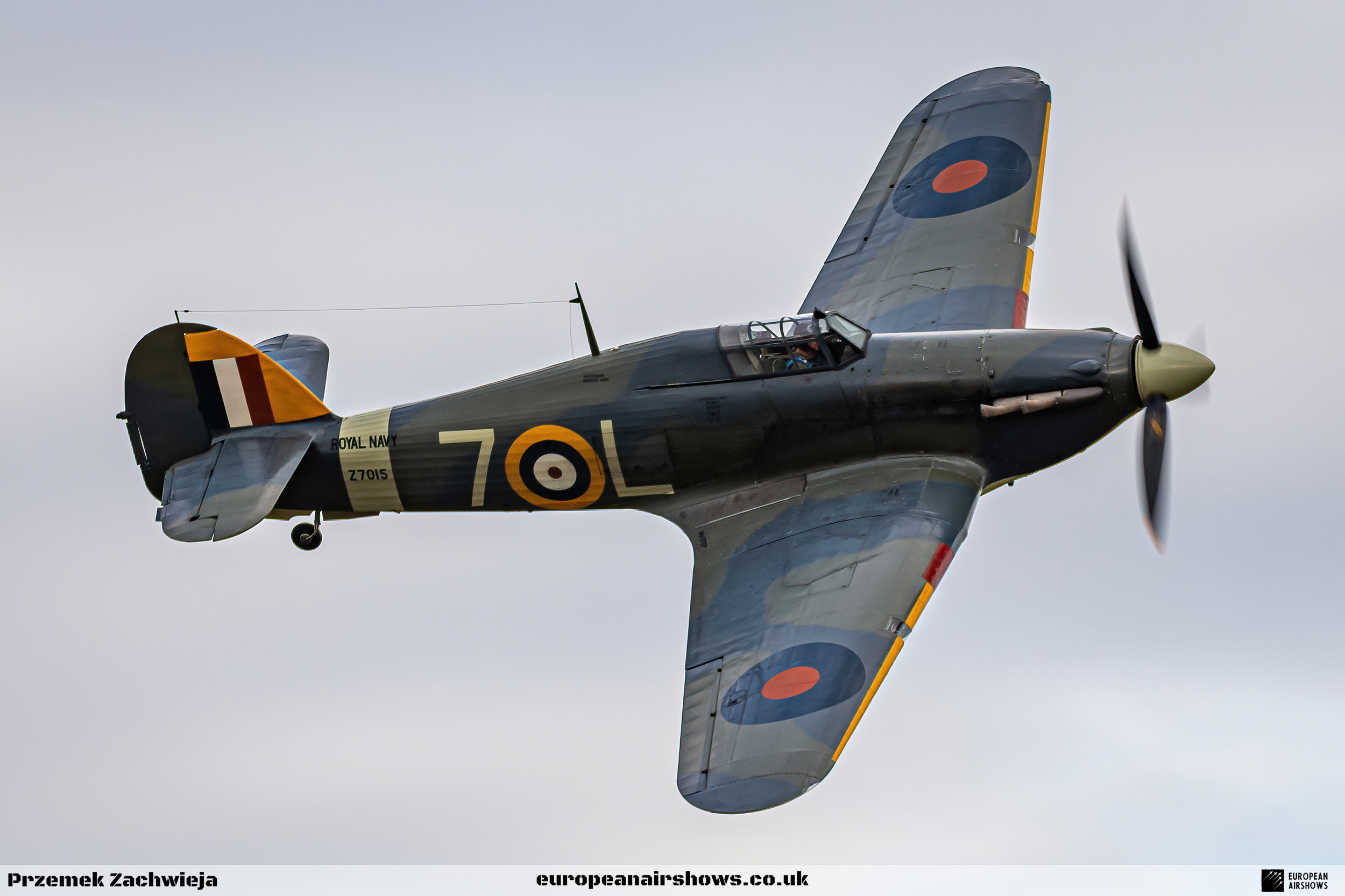 EA Shuttleworth 2022 Logo (100).png