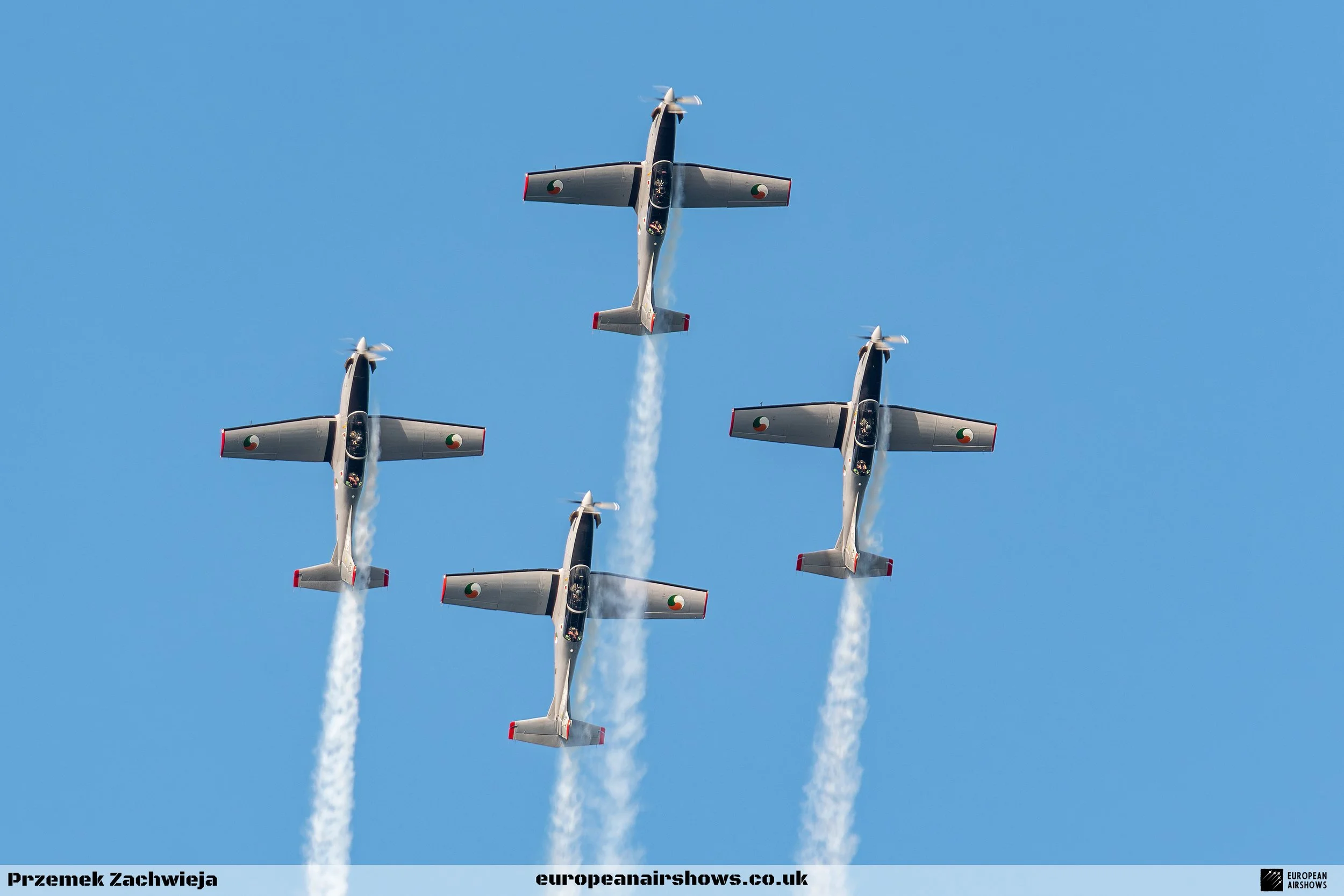 Bray 2025 Logo (28).jpg