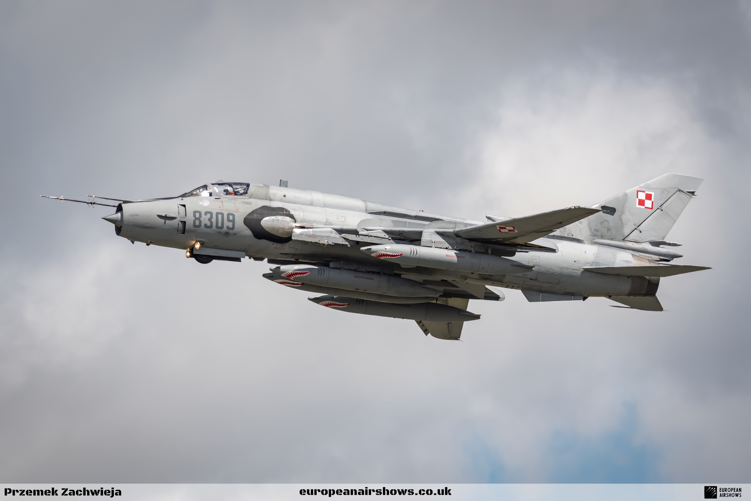 RIAT 2023 Departures Logo (10).png