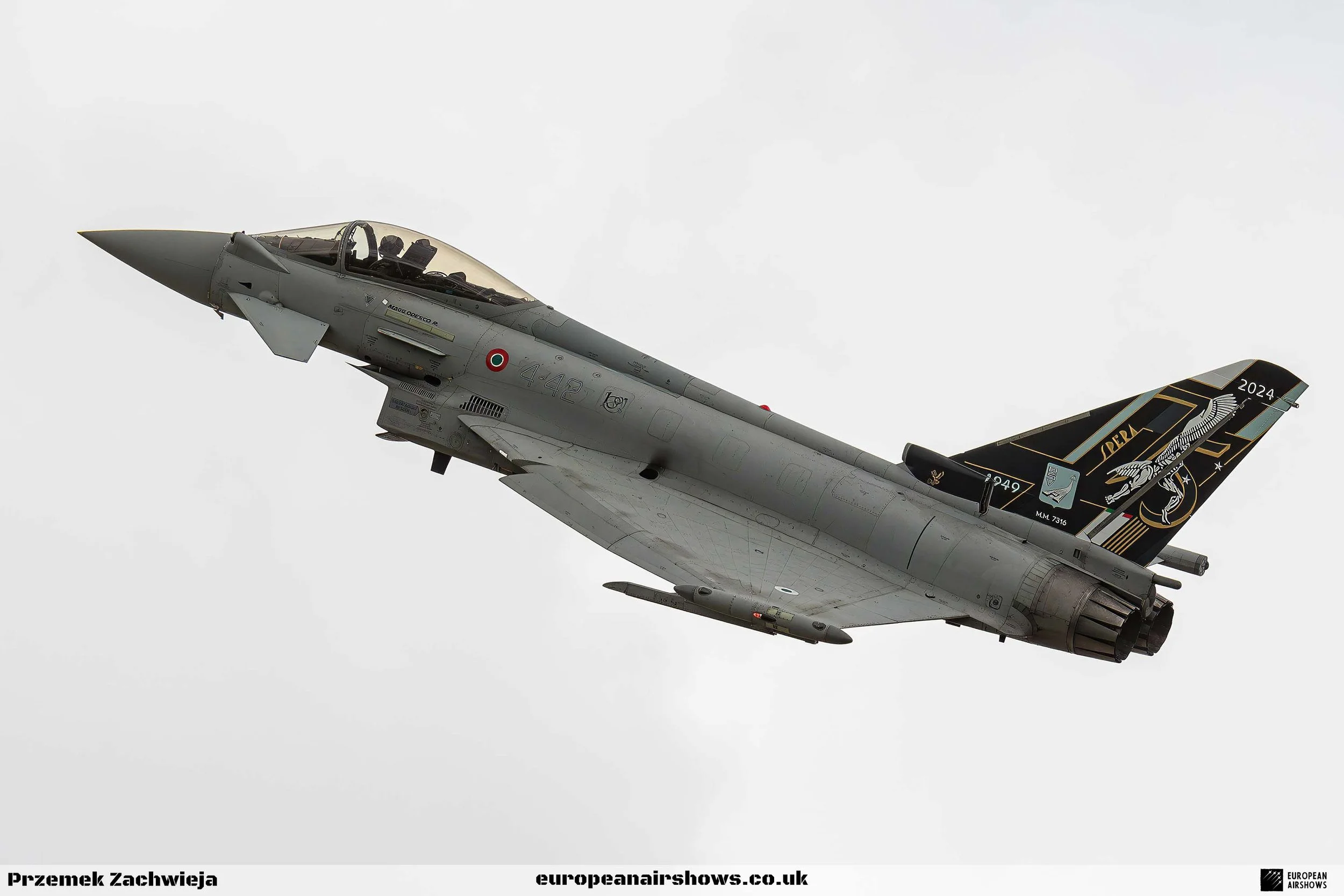 RIAT 2024 Sunday Logo (29).jpg