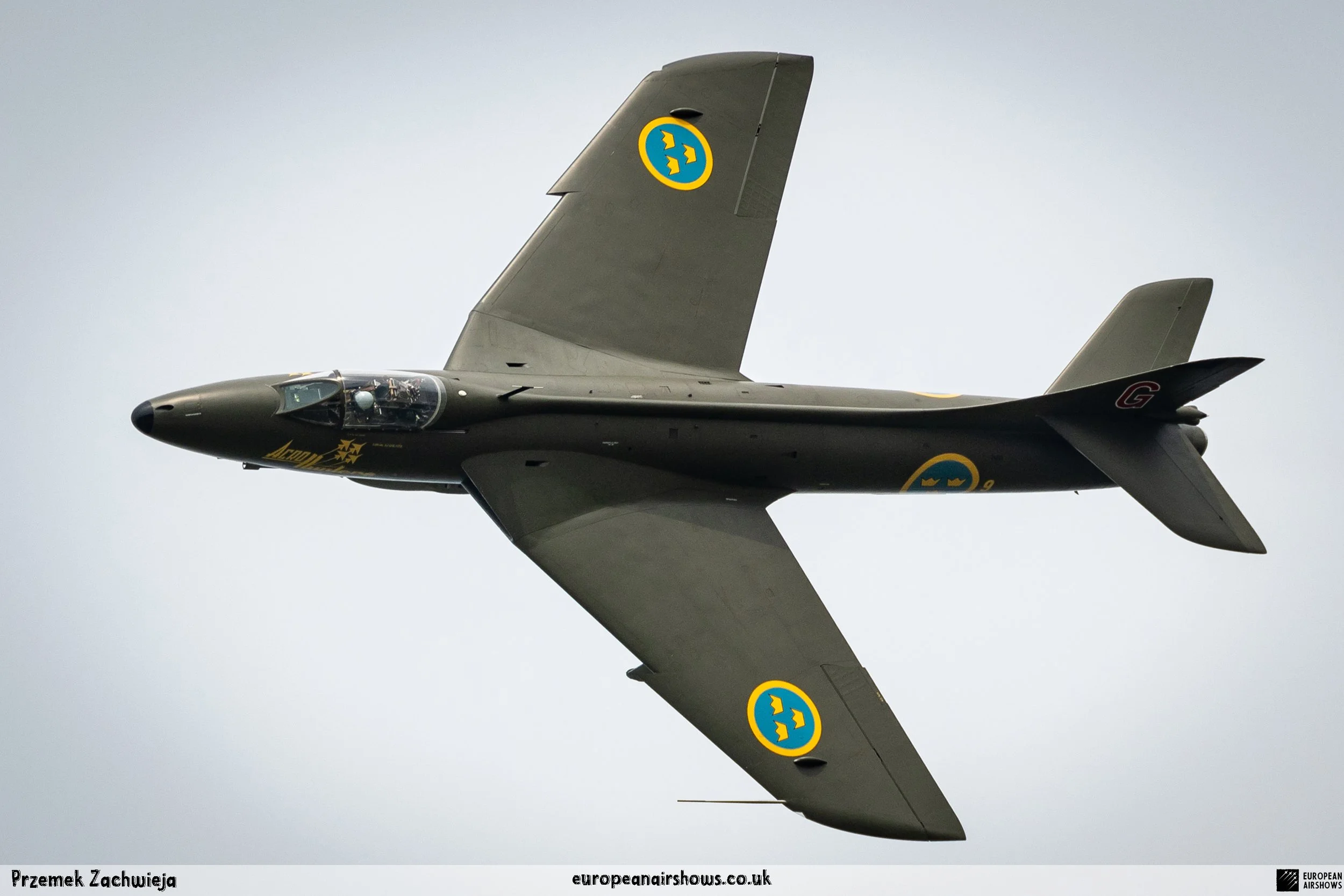 DSC_3312.jpg