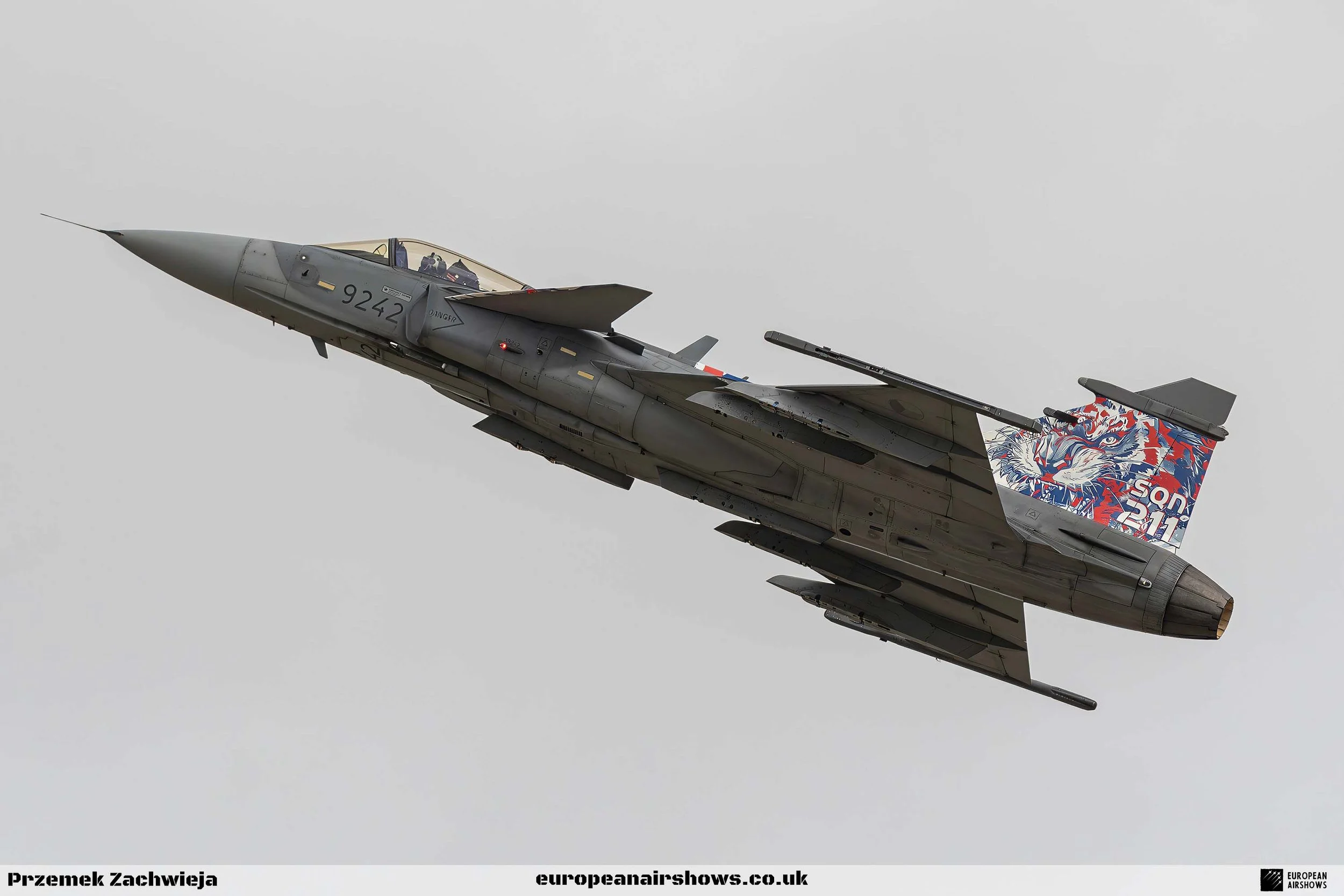 RIAT 2024 Sunday Logo (18).jpg
