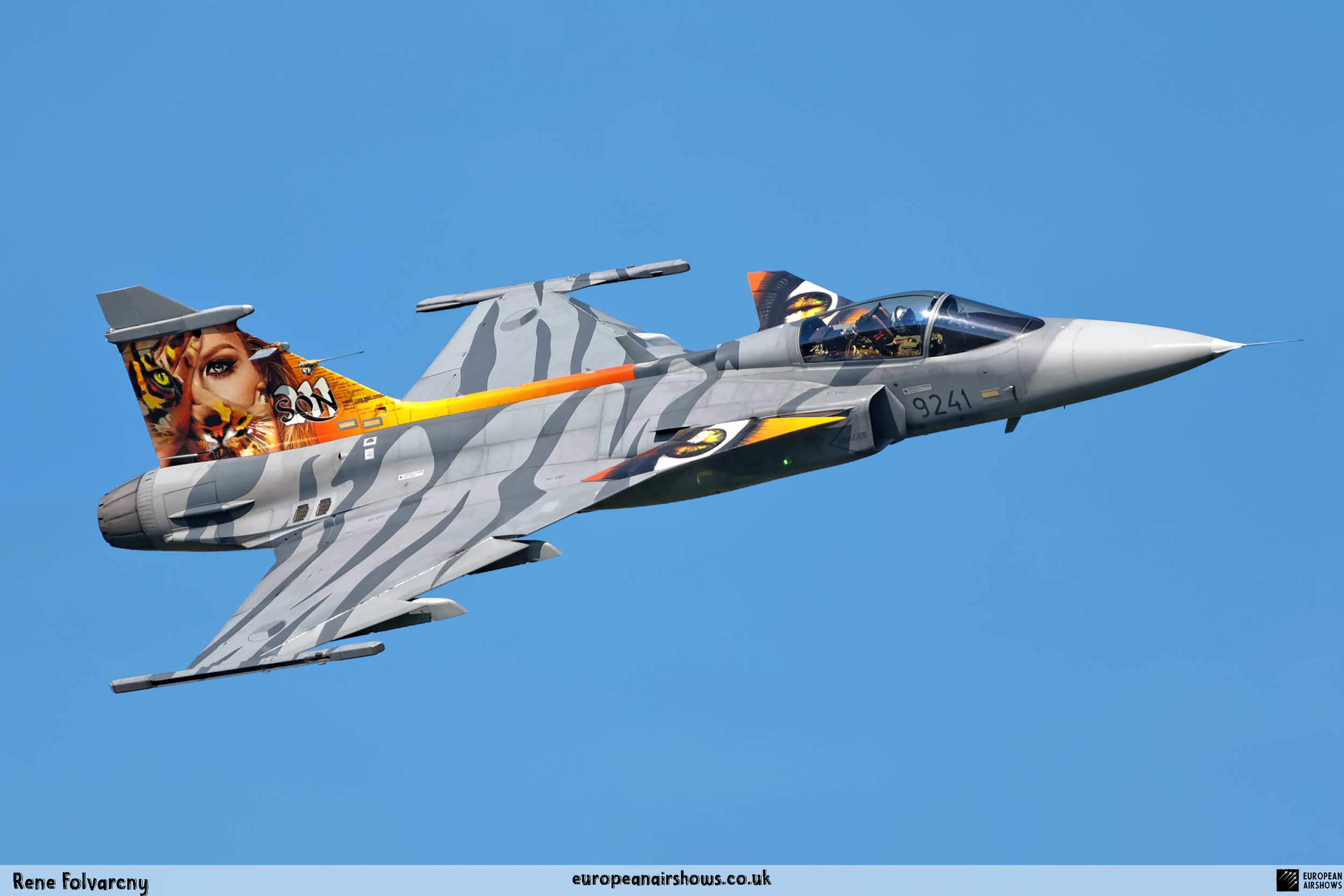 Czech-Gripen-(4).png