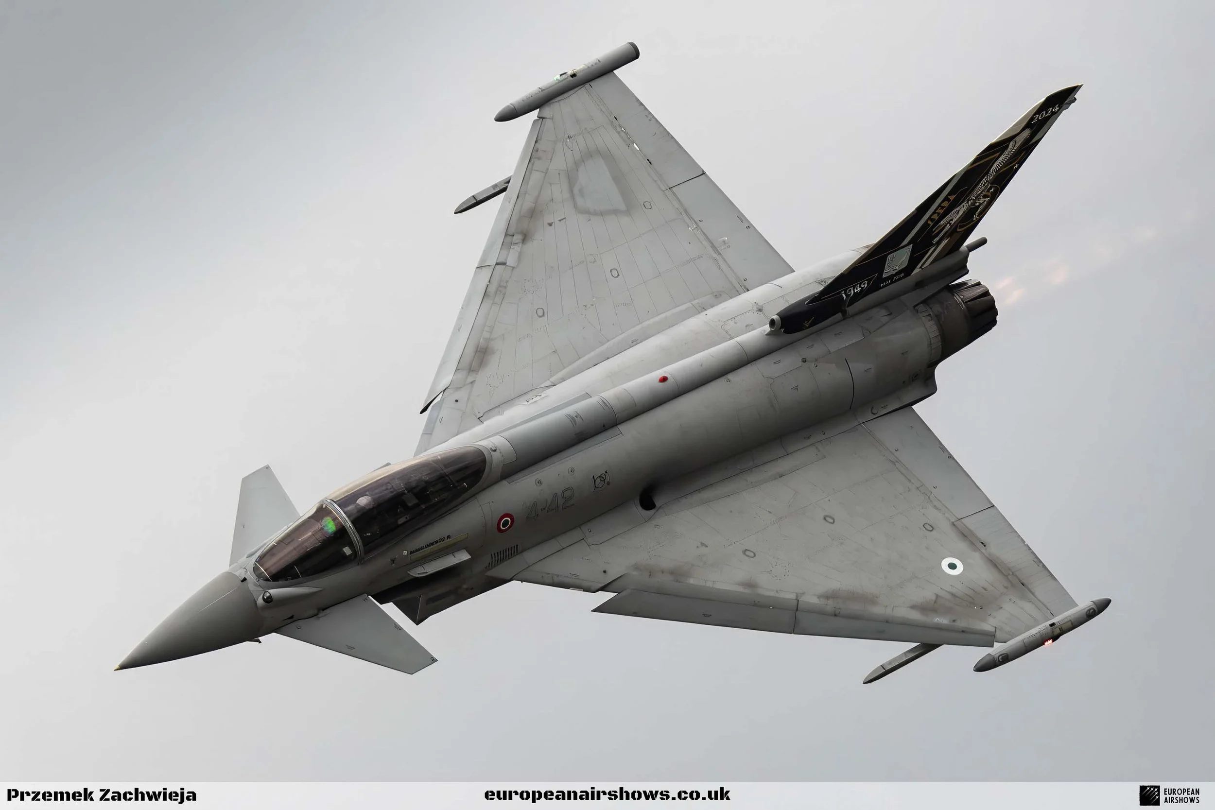 RIAT 2024 Saturday PZ Logo (112).jpg