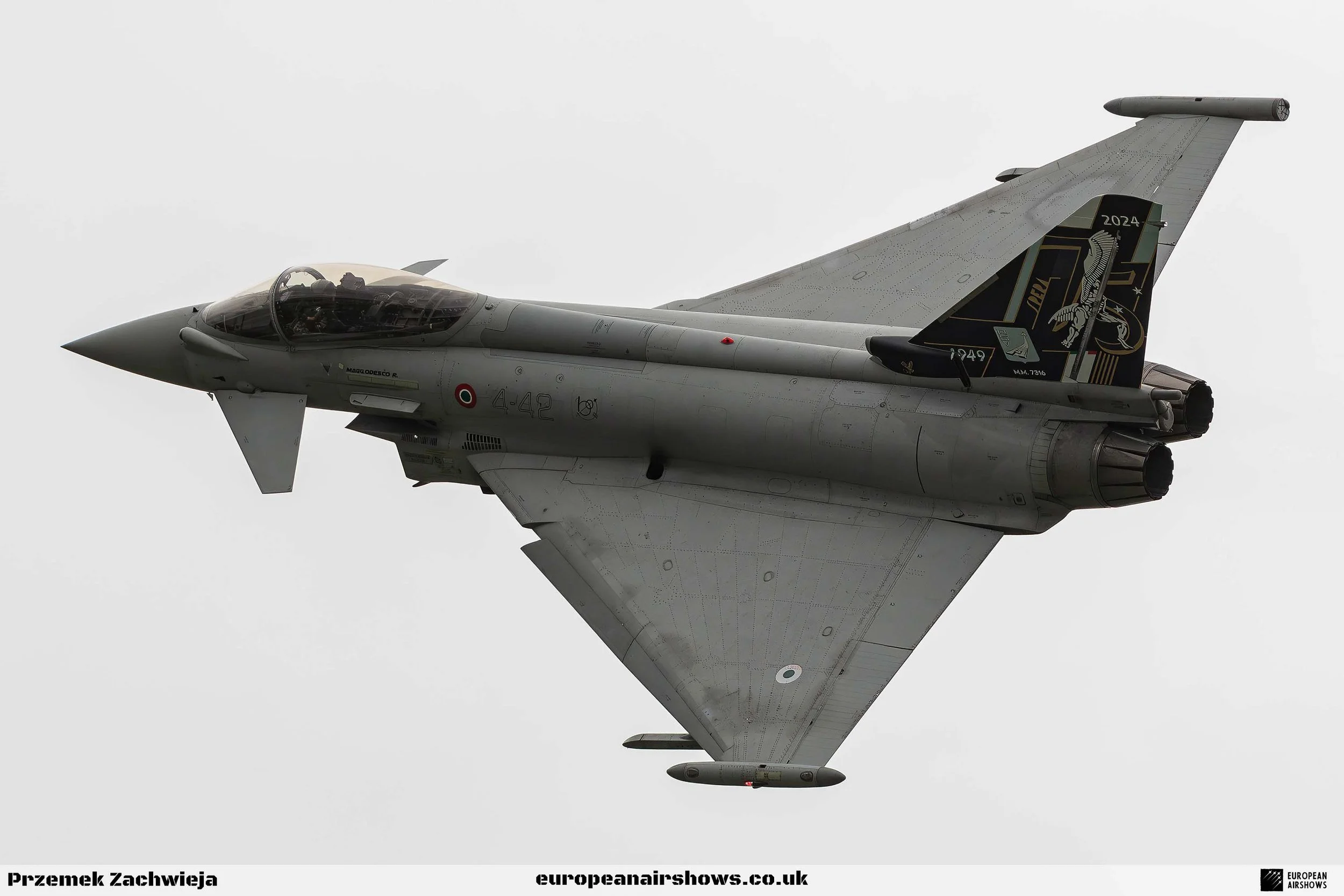 RIAT 2024 Saturday PZ Logo (111).jpg