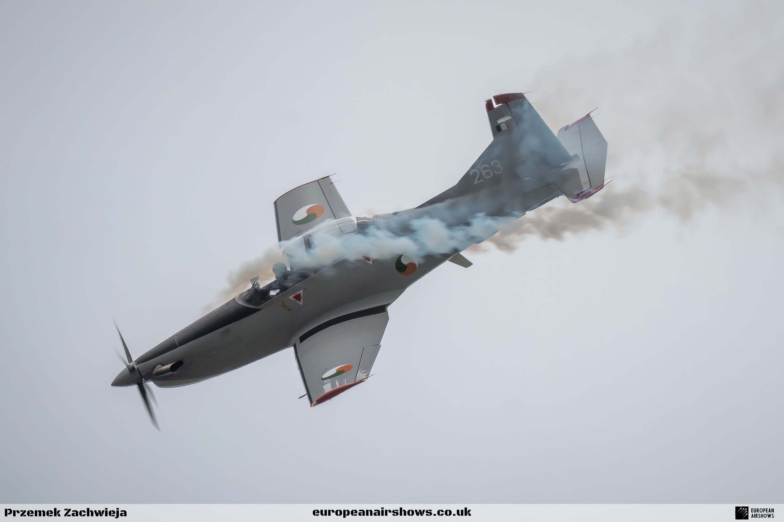 Birr Air Display 2023 Logo (29).png