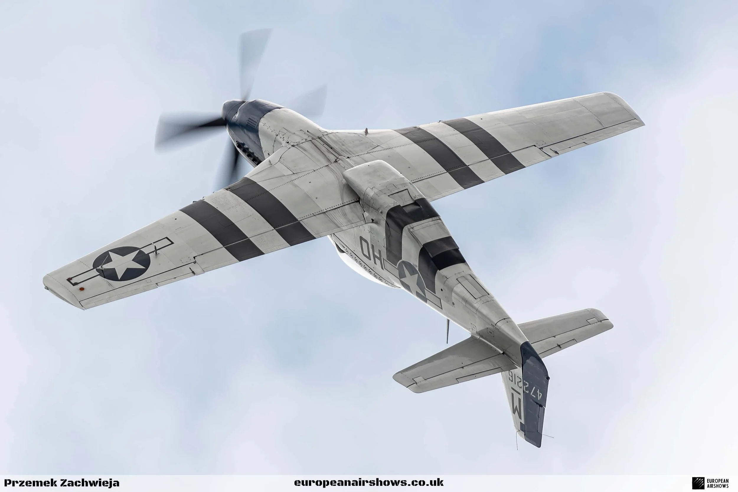 Bray Air Display 2024 Logo (69).jpg