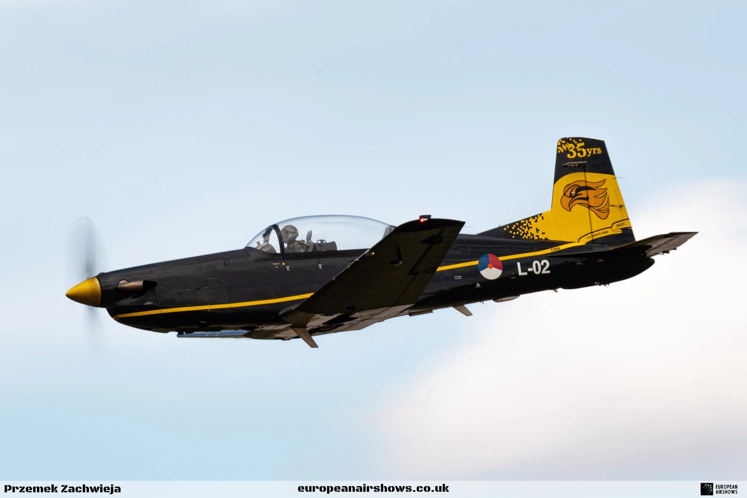 RIAT 2025 Wednesday Logo (34).jpg