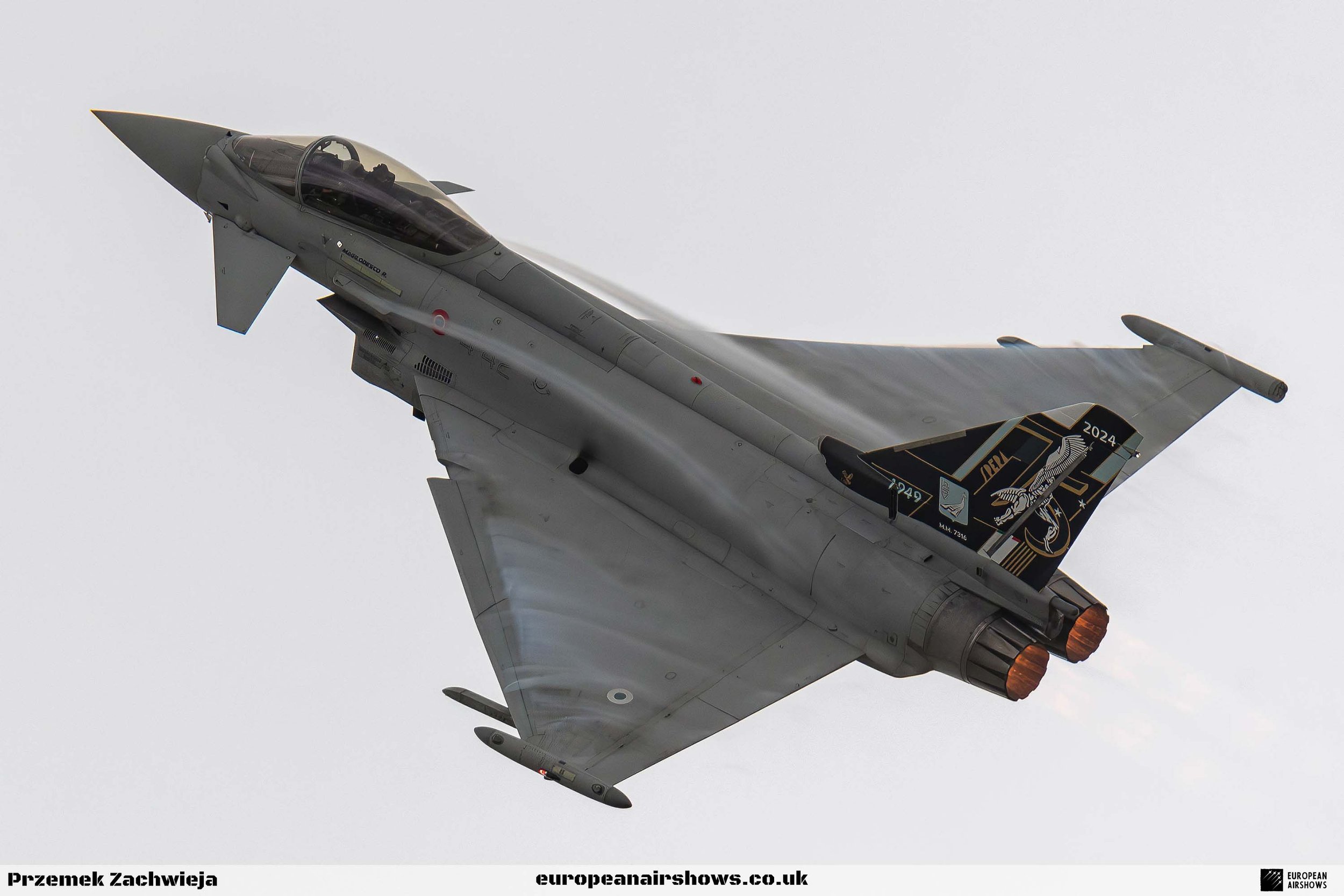 RIAT 2024 Saturday PZ Logo (113).jpg