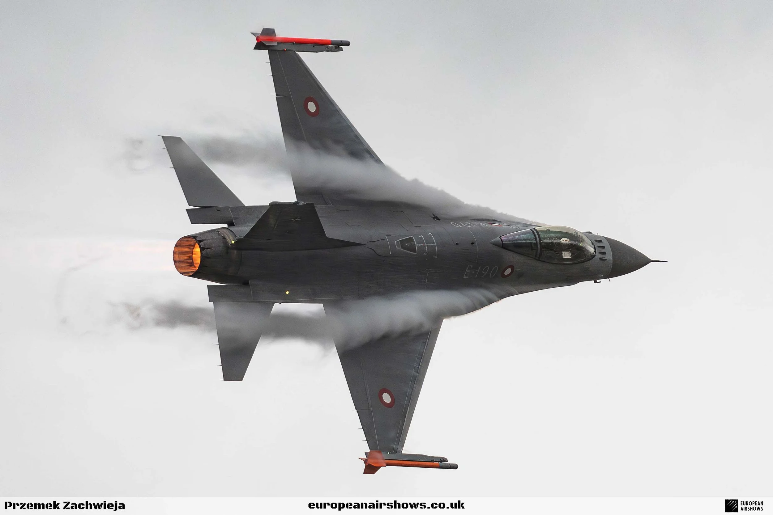 RIAT 2024 Saturday PZ Logo (116).jpg