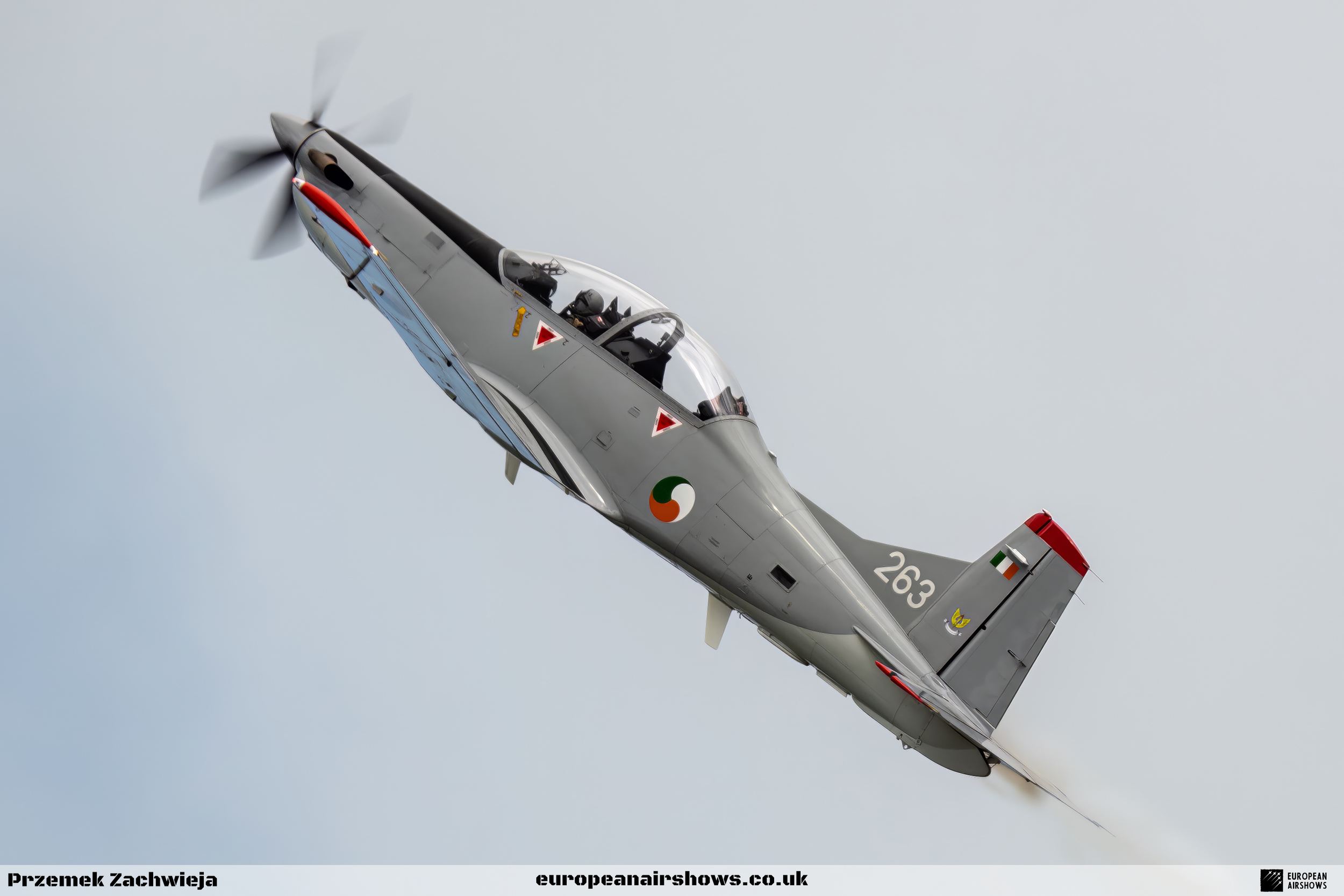 Birr Air Display 2023 Logo (30).png