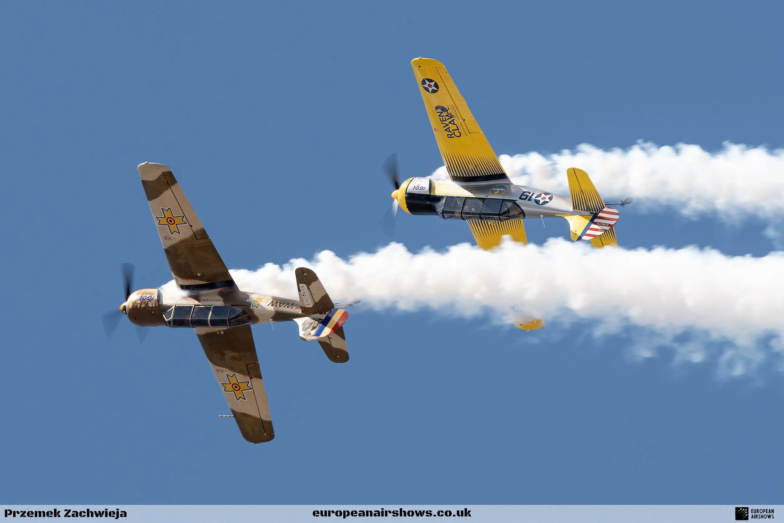 BIAS 2025 Friday Logo (61).jpg