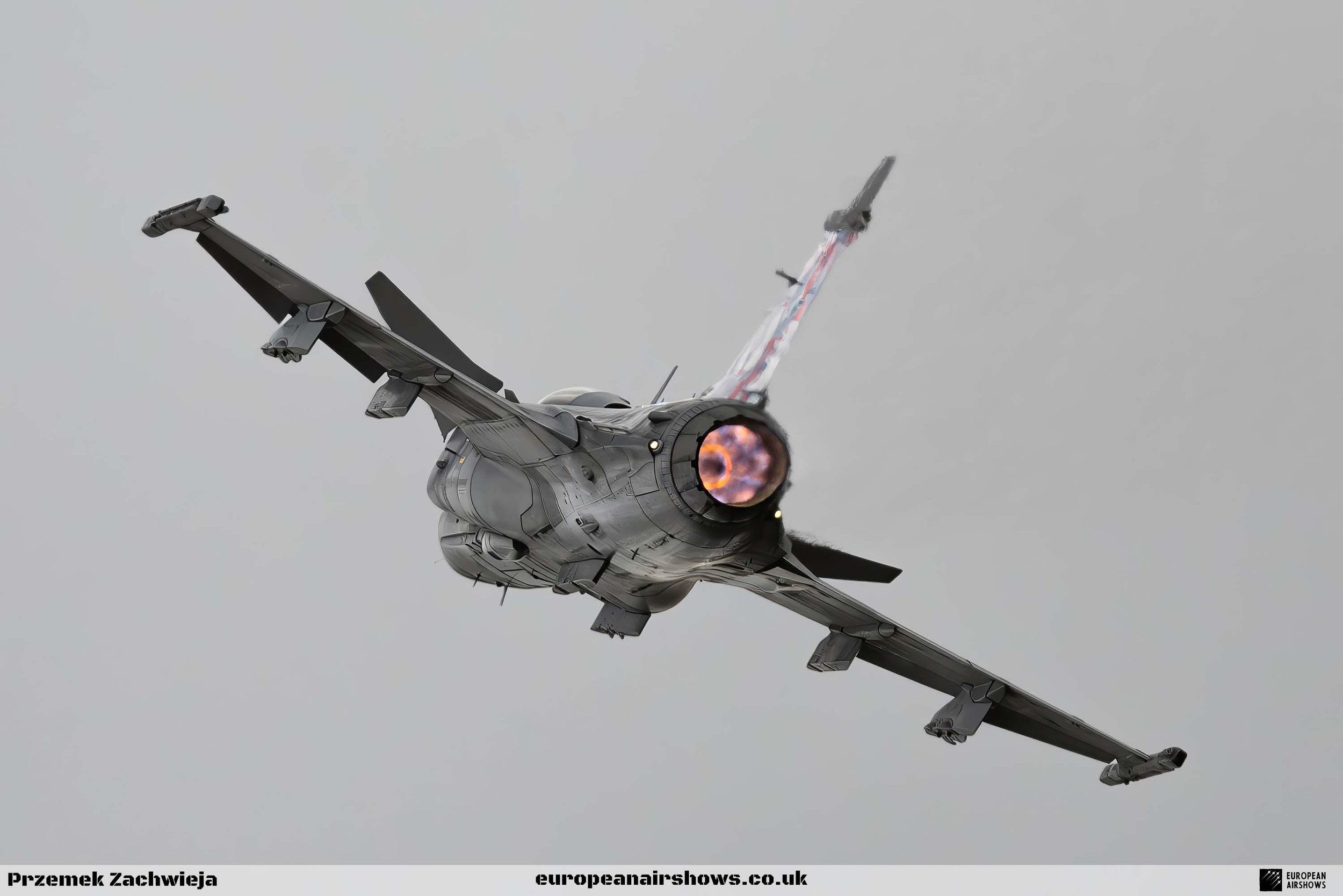 RIAT 2024 Sunday Logo (16).jpg