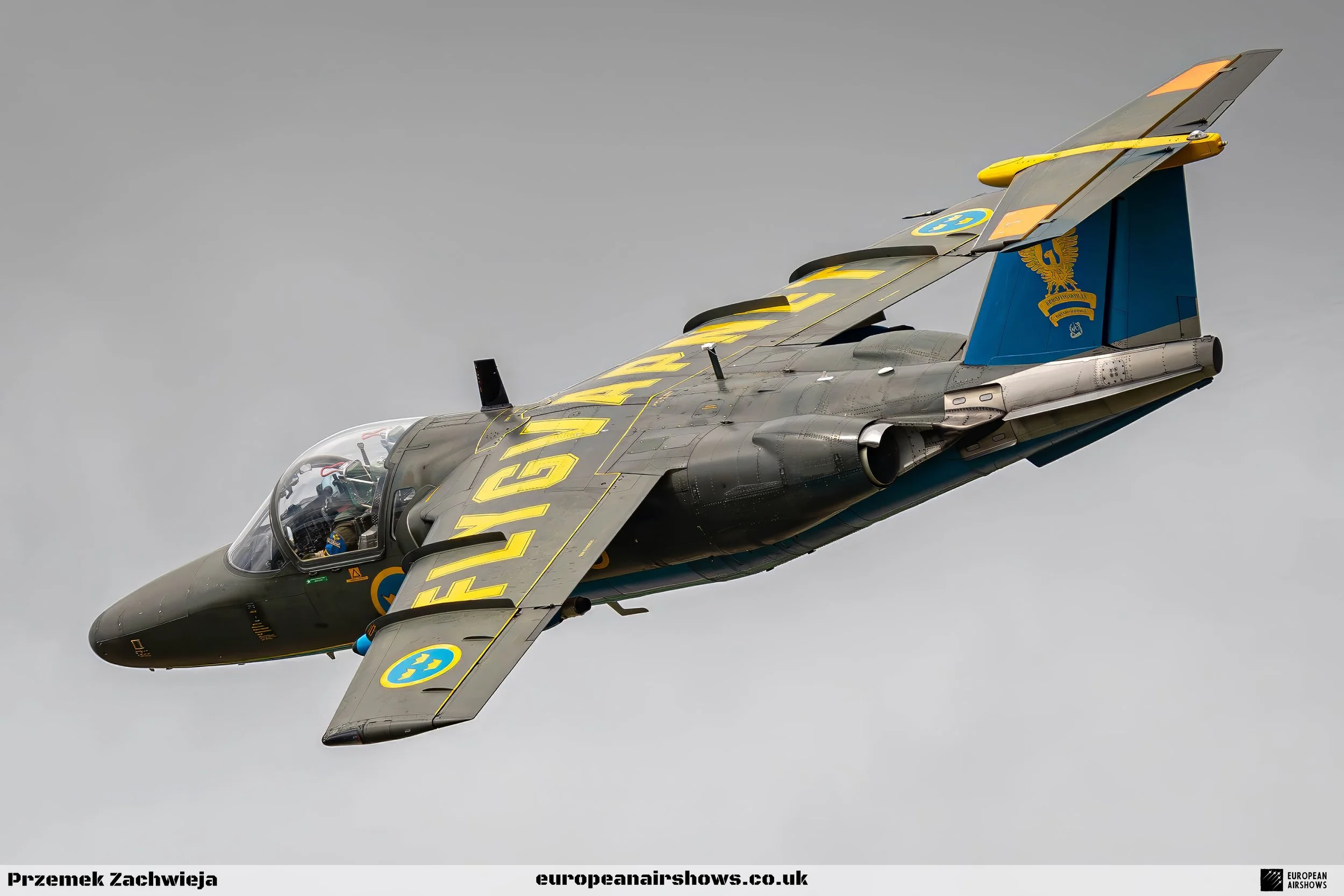 RIAT 2023 Sunday Logo (142).jpg