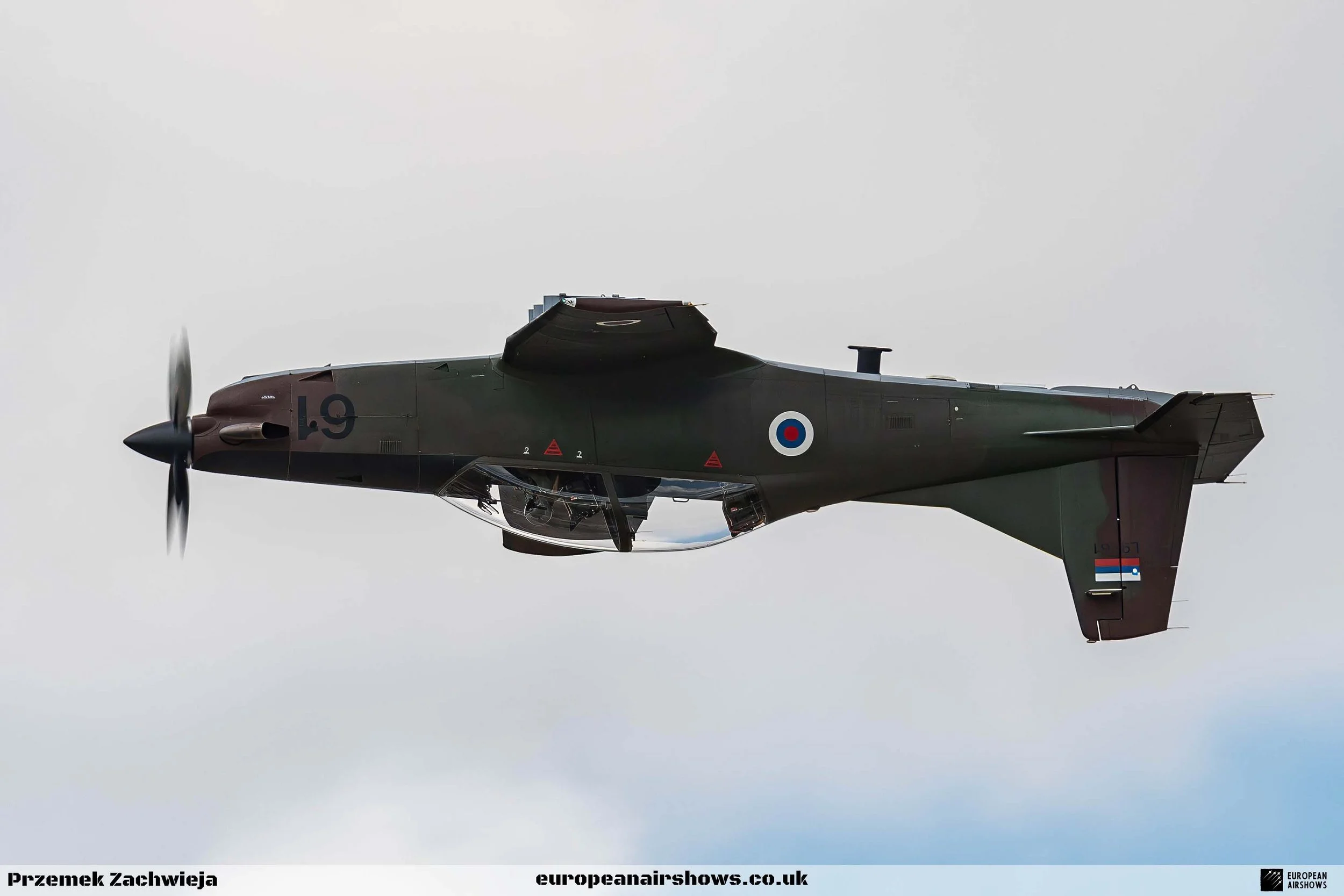 RIAT 2024 Sunday Logo (190).jpg