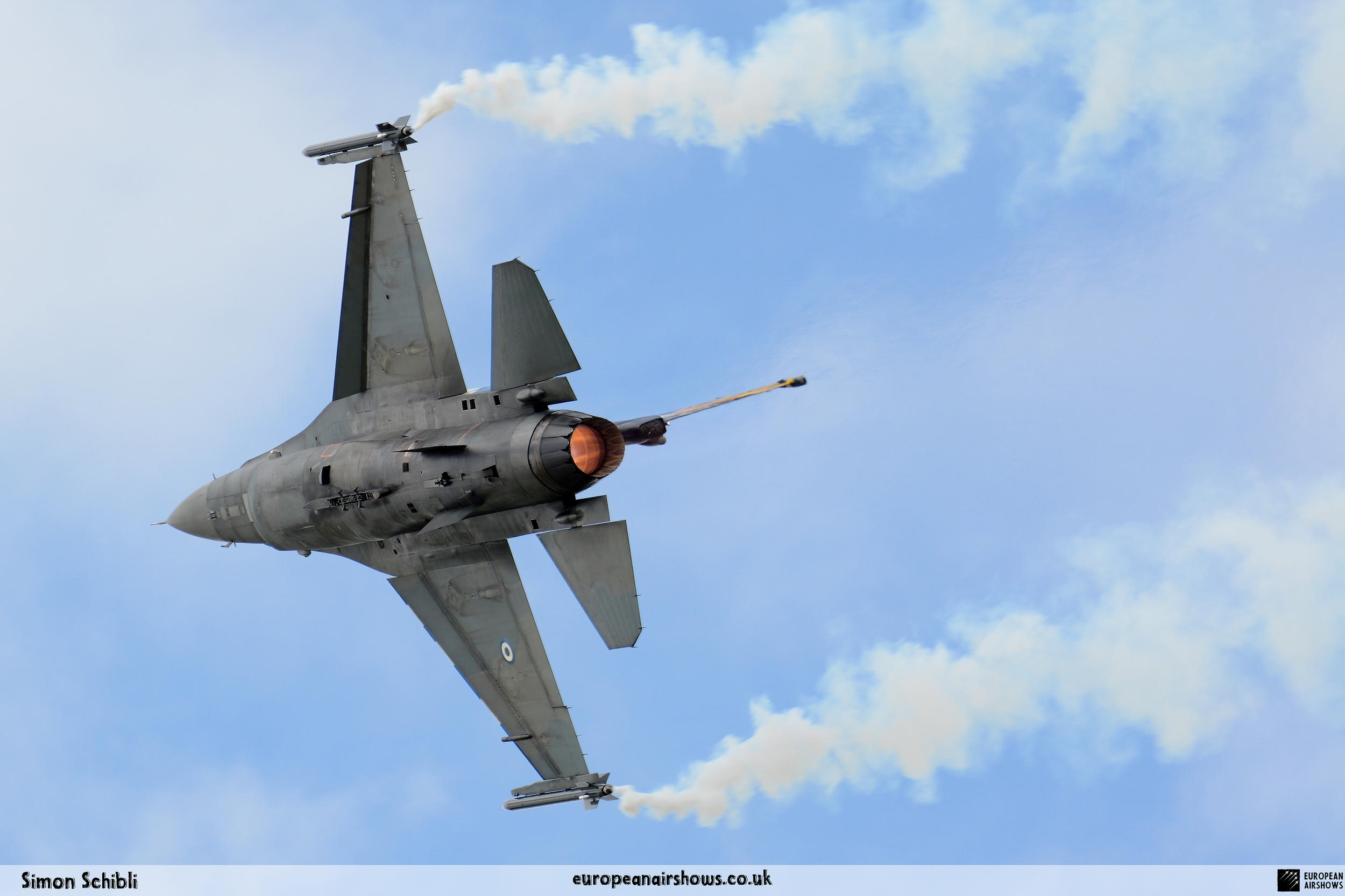 RIAT 2016 Logo (145).png