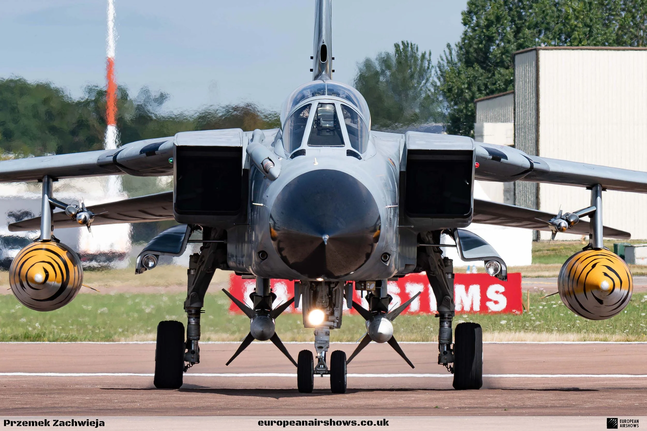 RIAT 2024 Thursday Logo (97).jpg