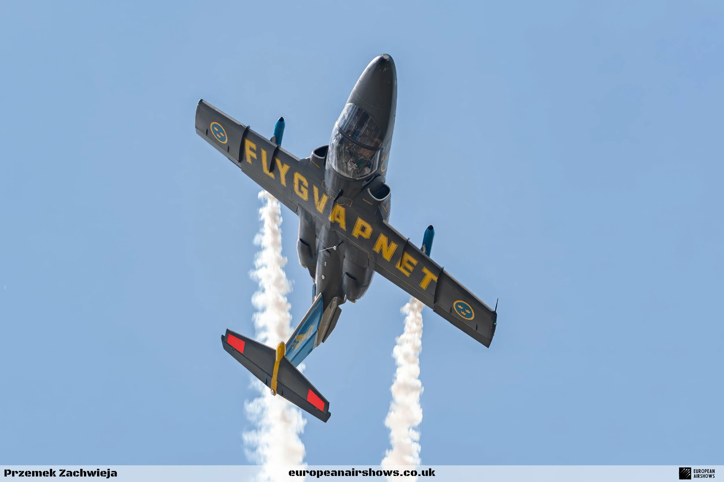 RIAT Saturday Logo (14).jpg