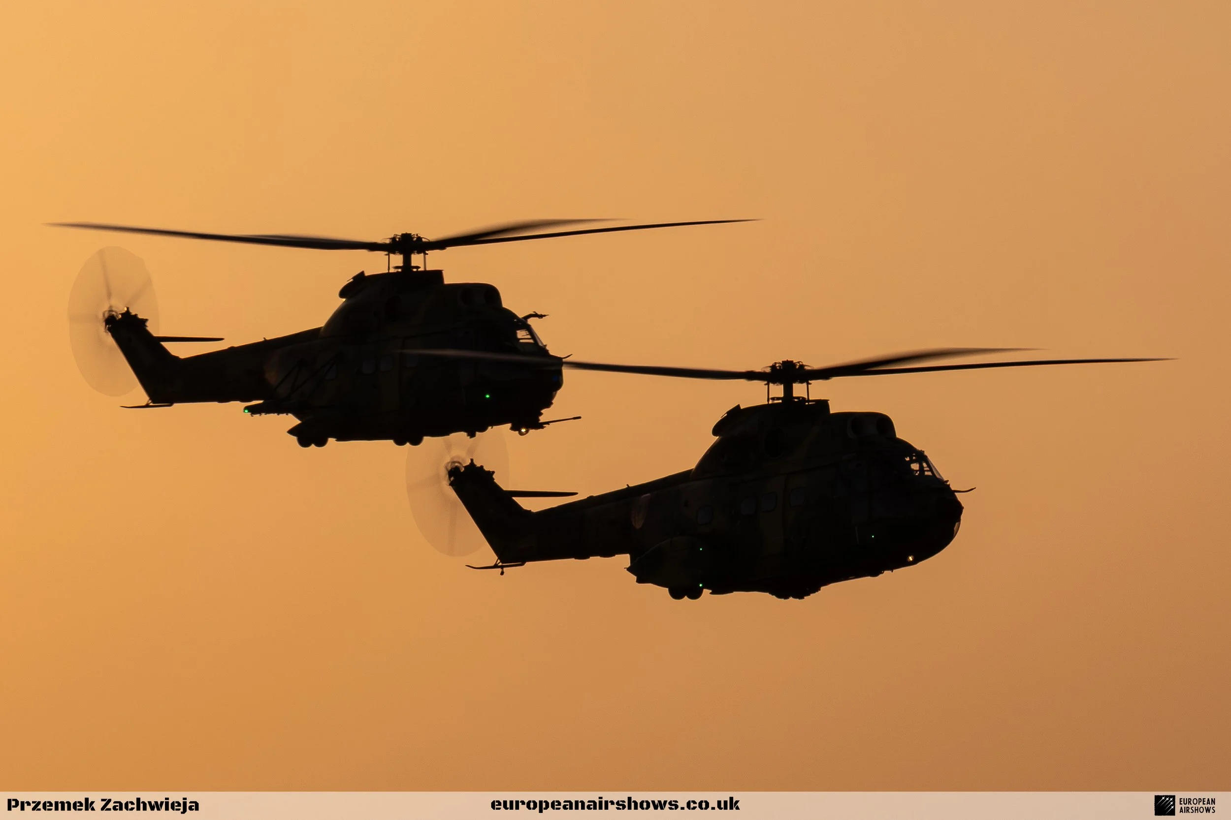 BIAS 2025 Saturday Logo (165).jpg