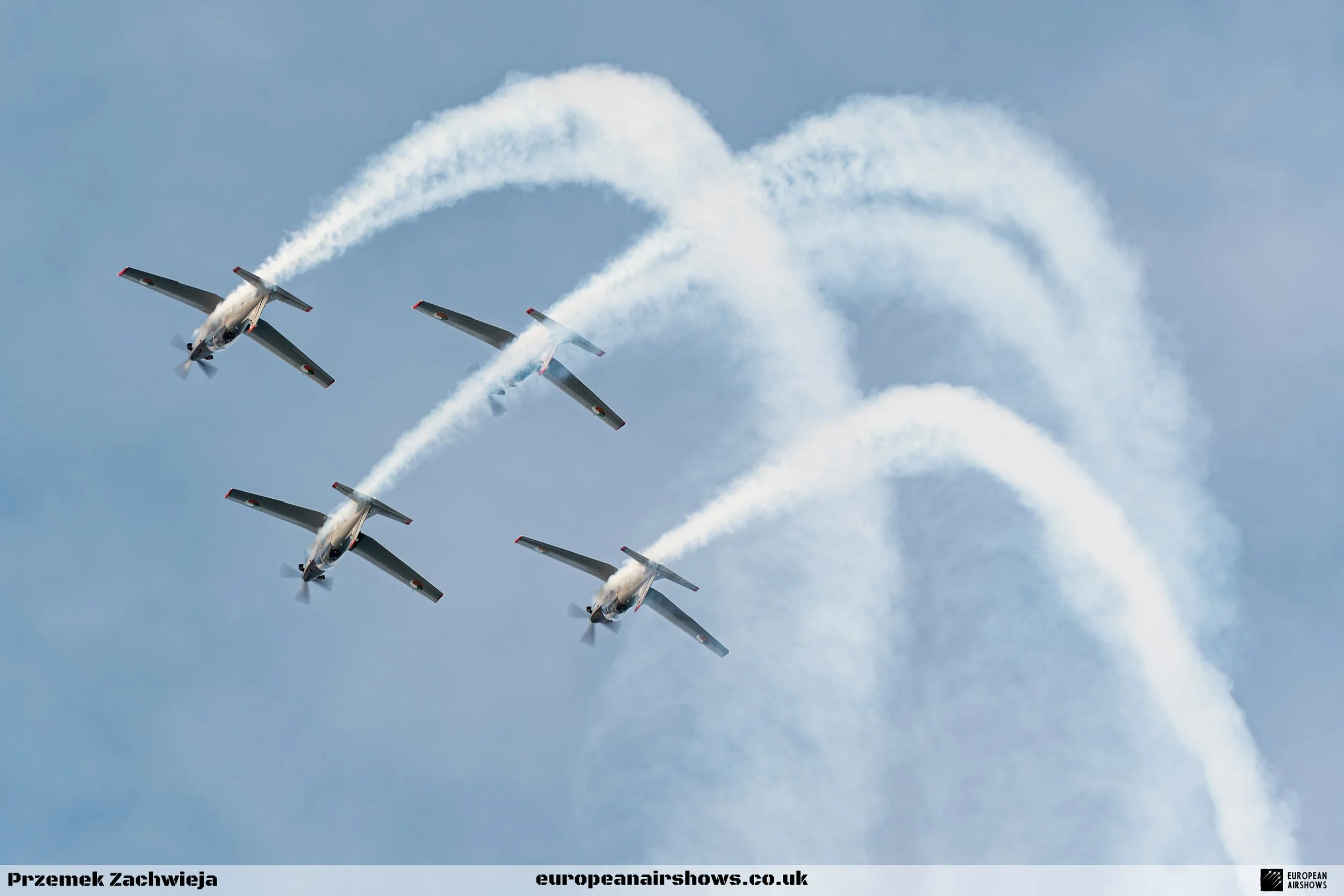 Bray 2025 Logo (29).jpg