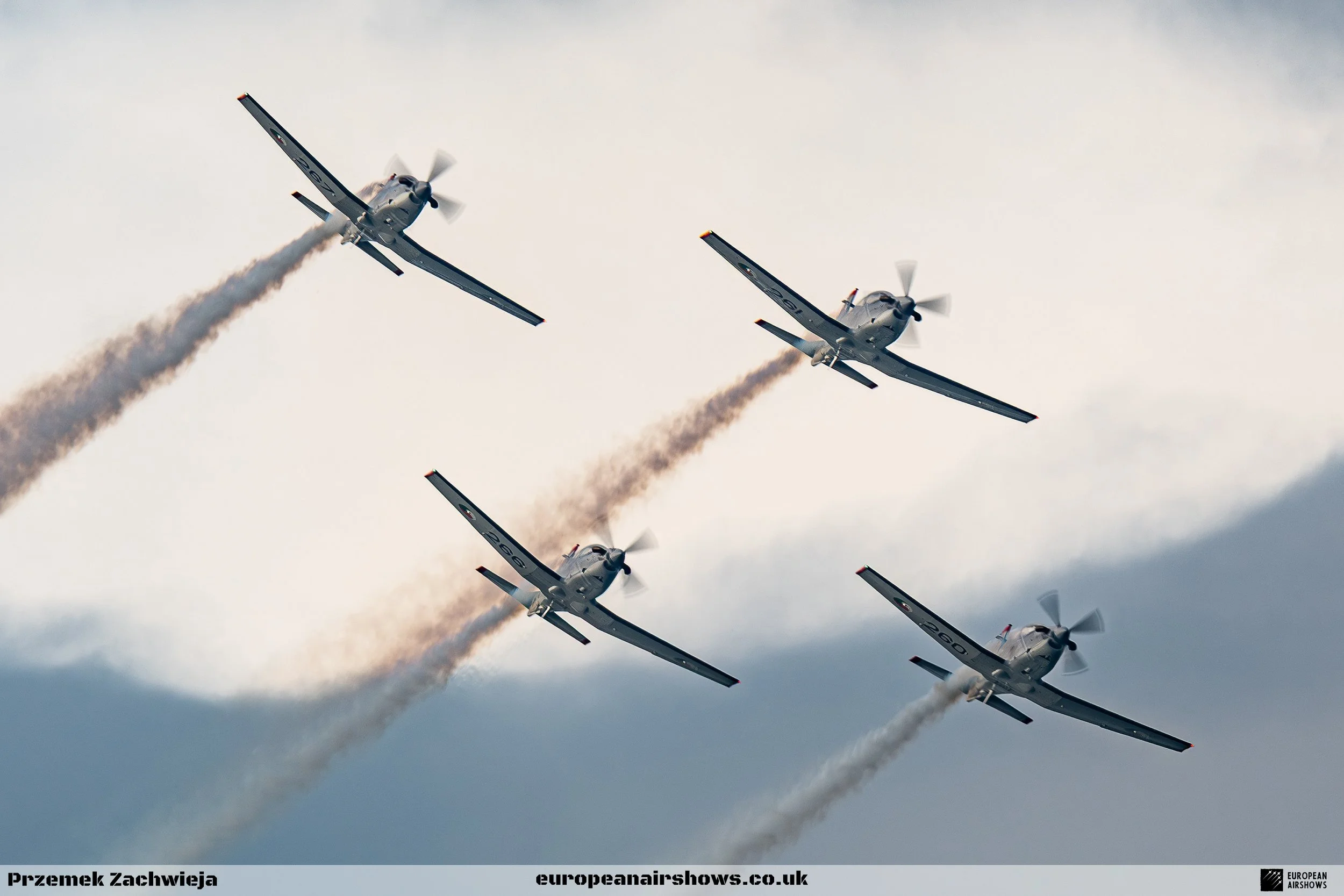 Bray 2025 Logo (30).jpg