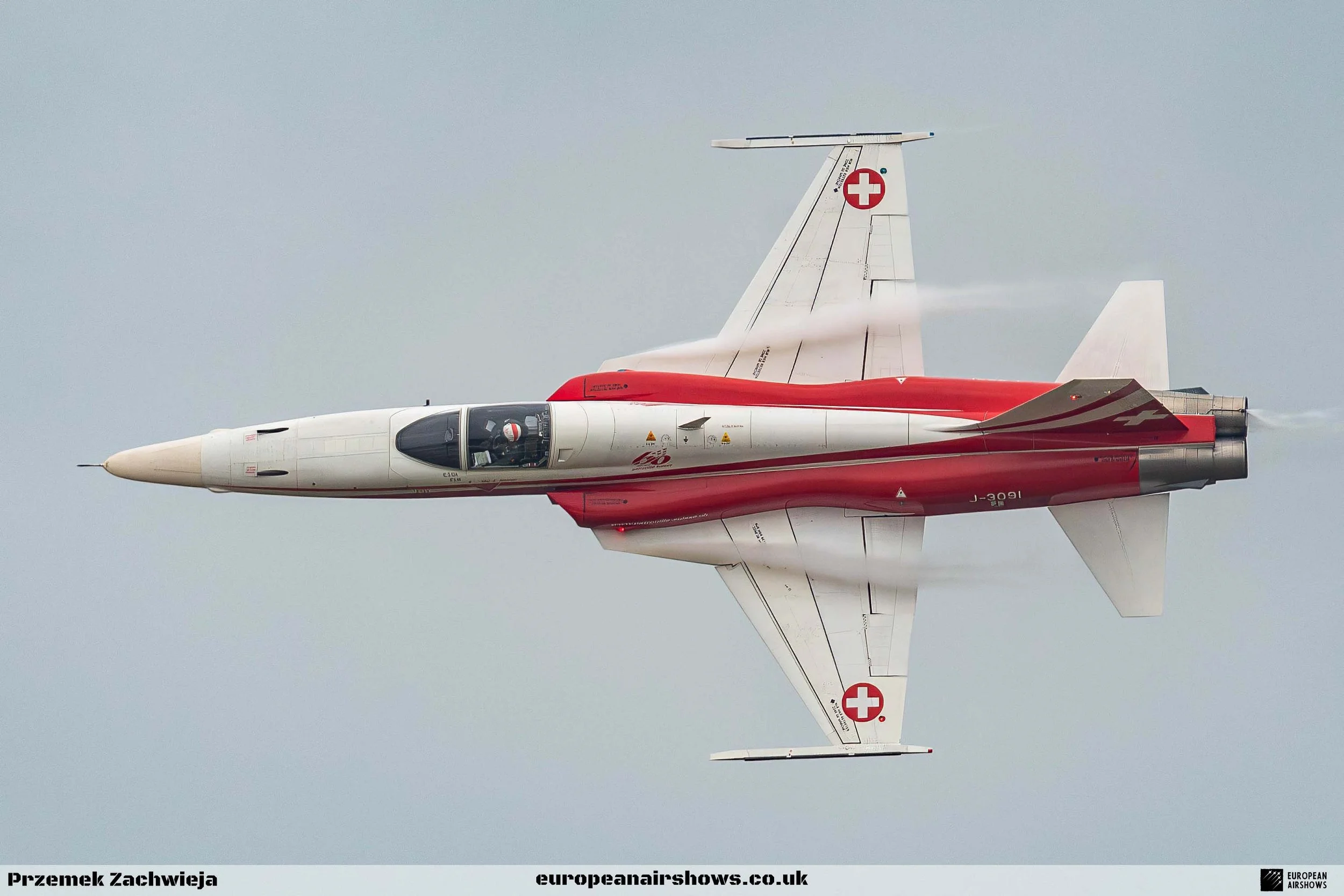 RIAT 2024 Saturday PZ Logo (127).jpg