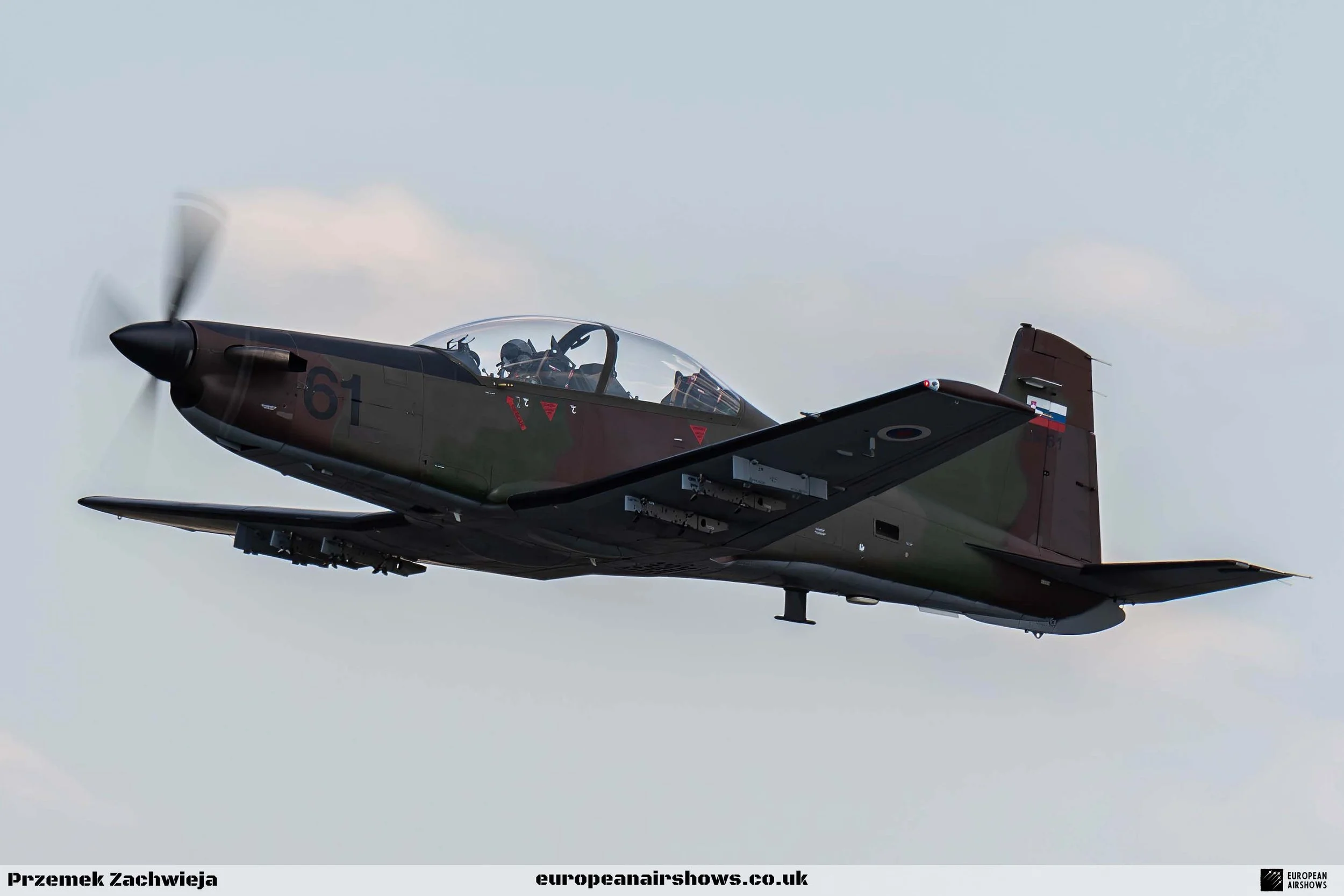 RIAT 2024 Friday Logo (92).jpg