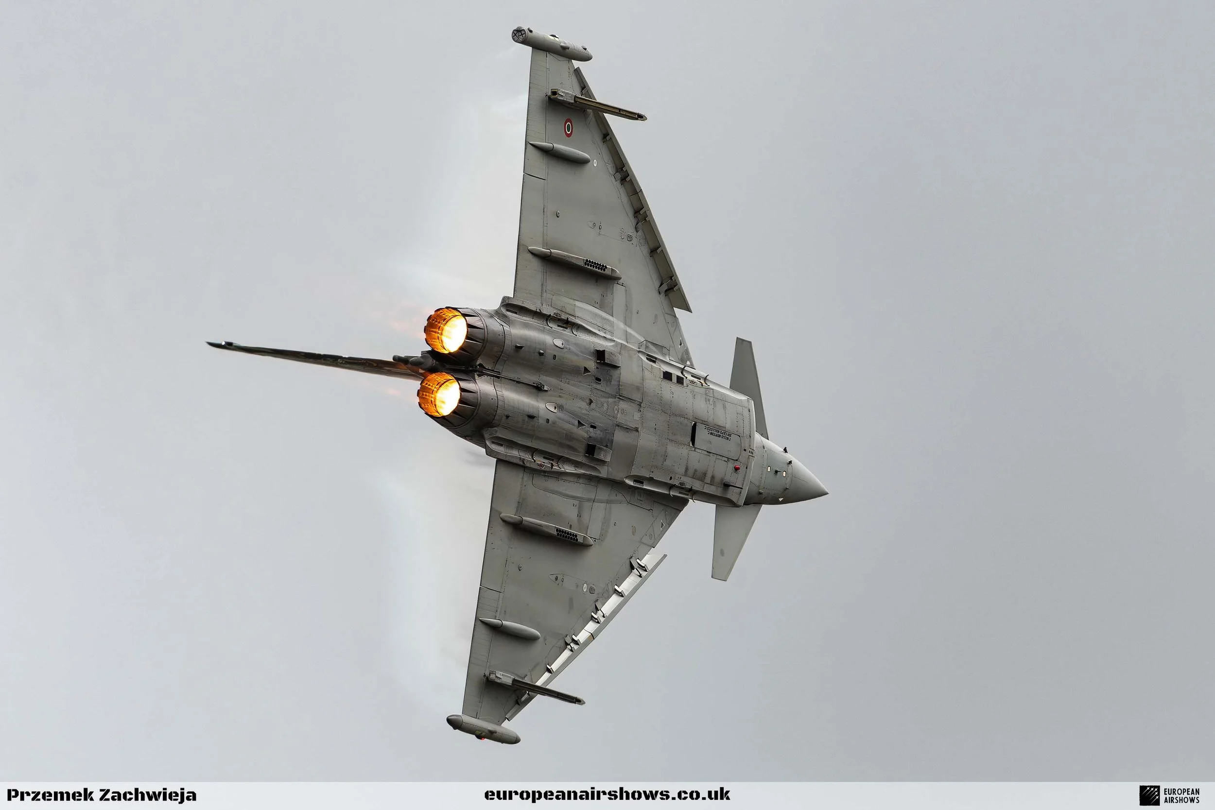 RIAT 2024 Sunday Logo (35).jpg