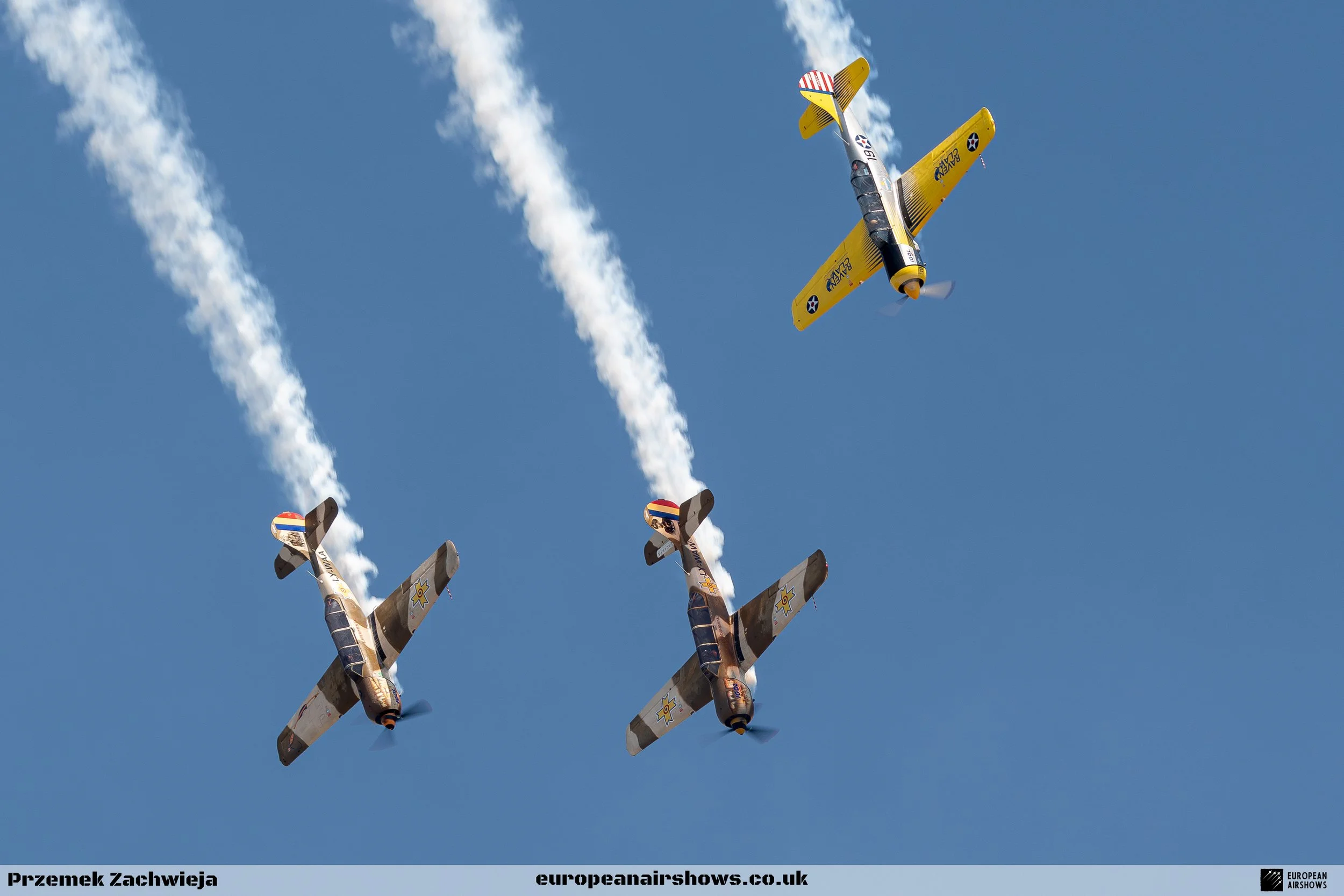 BIAS 2025 Saturday Logo (82).jpg