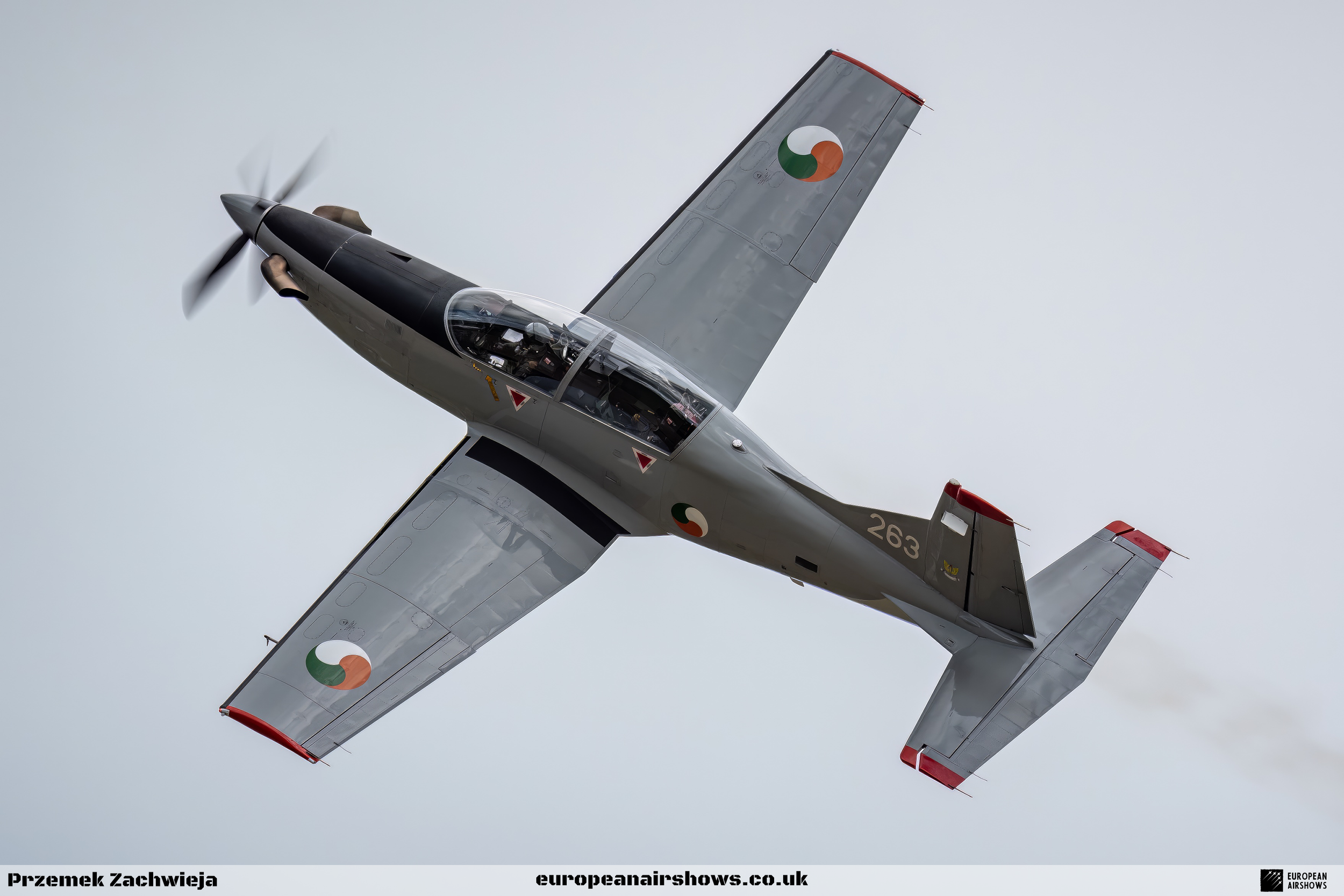 Birr Air Display 2023 Logo (34).png