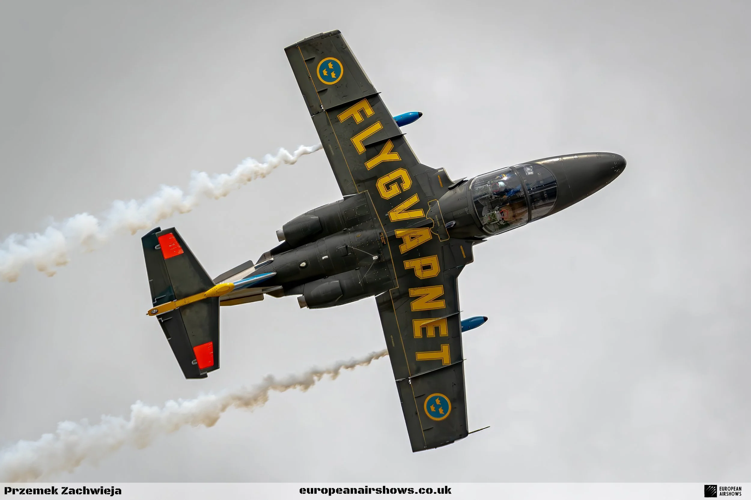 RIAT 2023 Sunday Logo (143).jpg