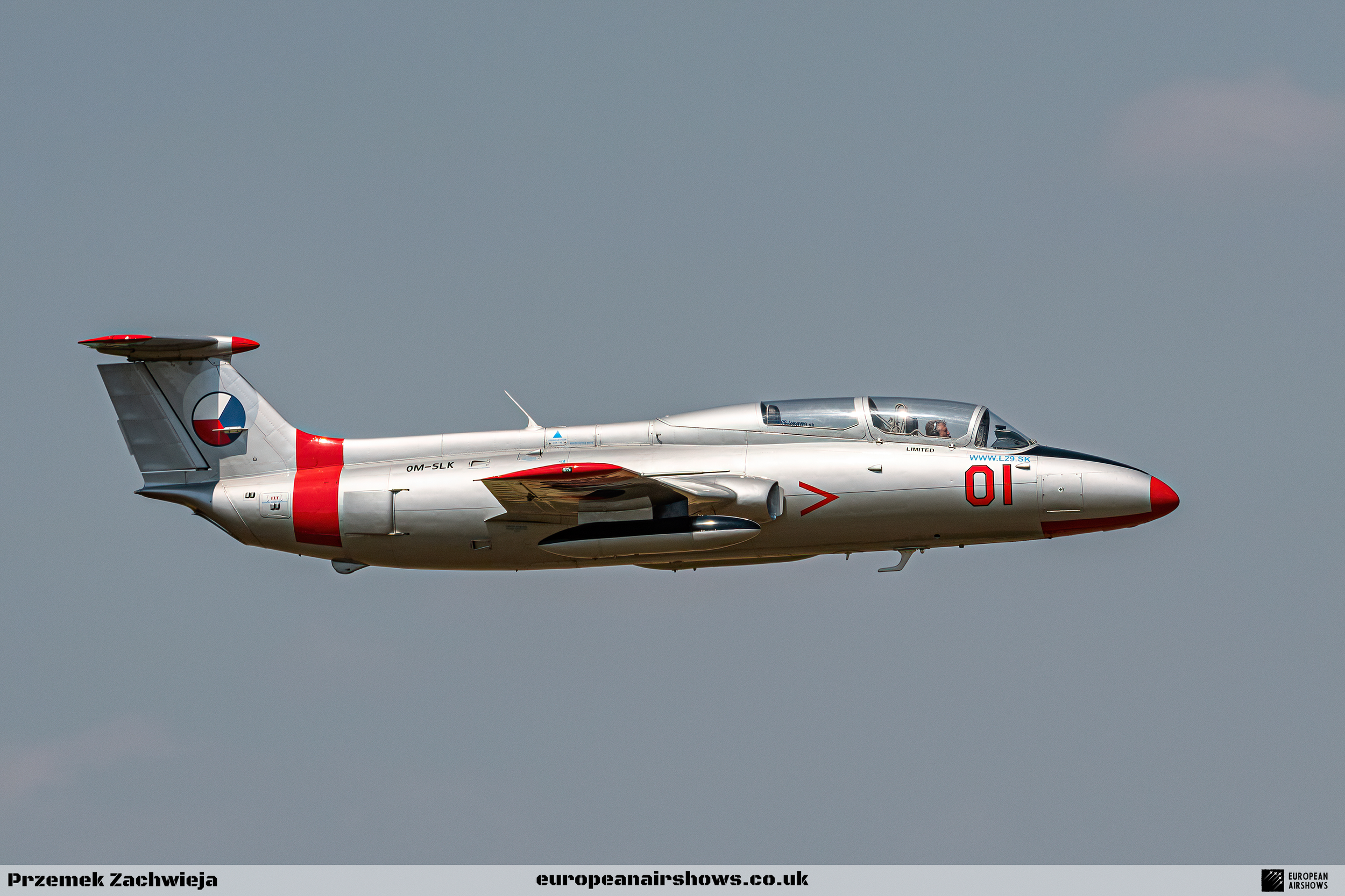 Leszno 2021 Logo (6).png