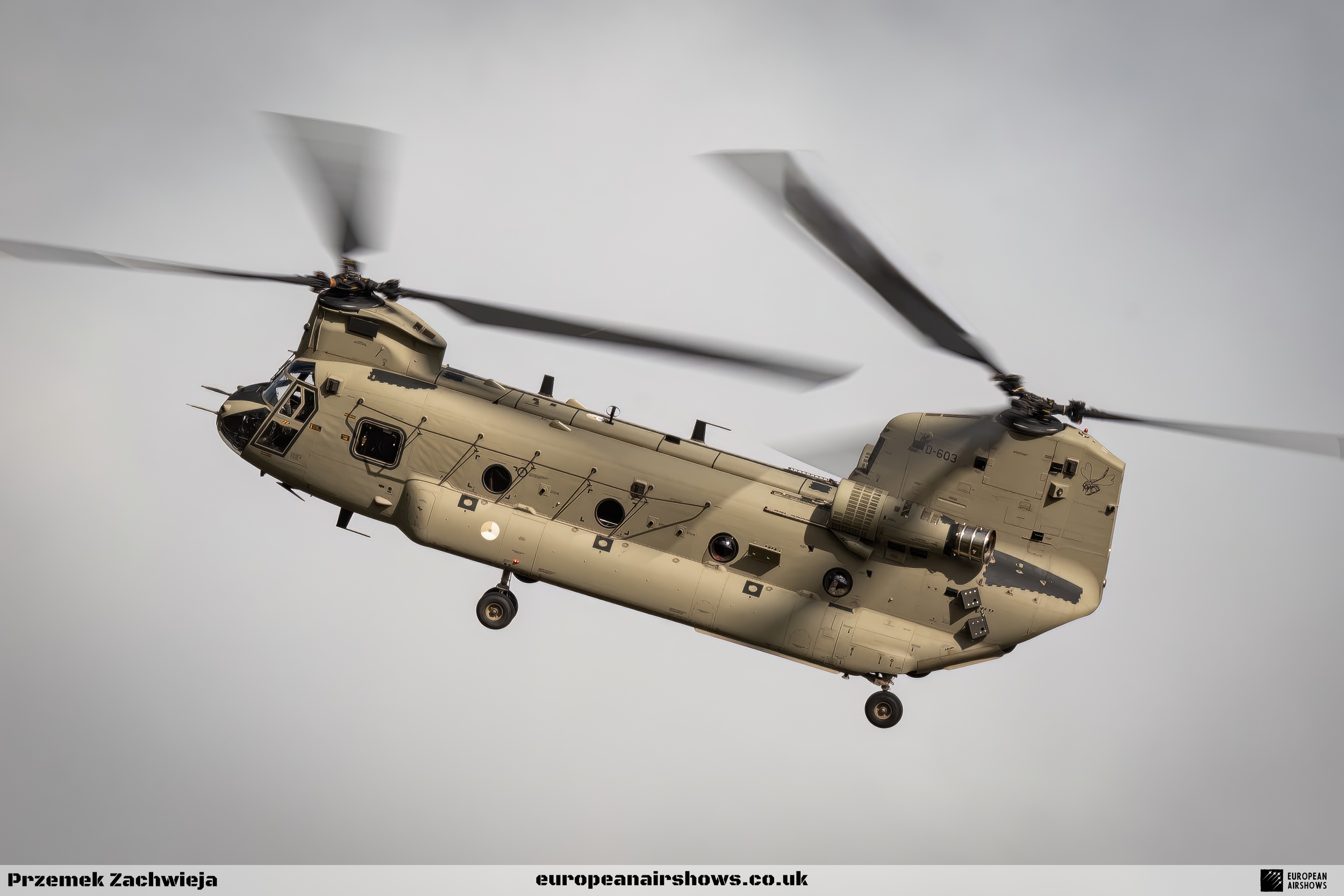 RIAT 2023 Departures Logo (41).png