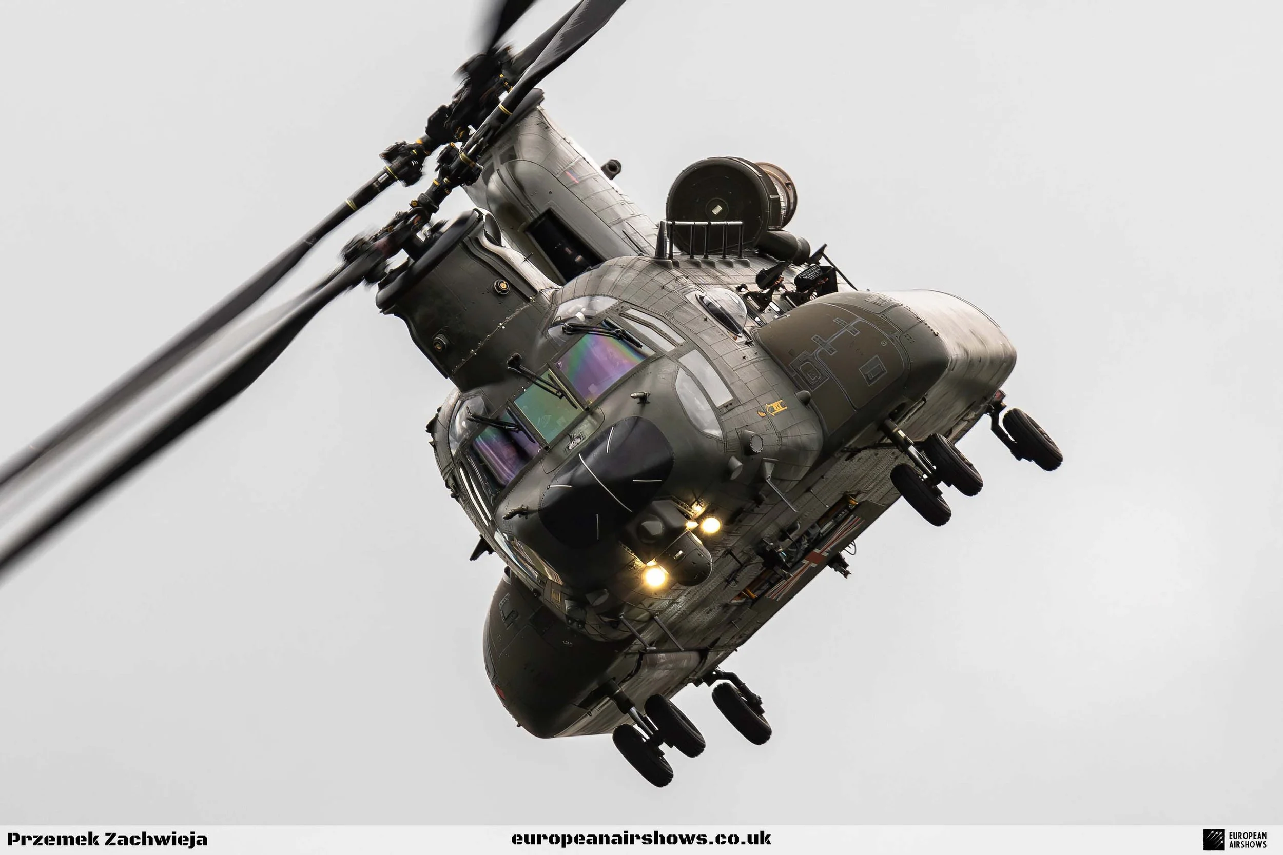 RIAT 2024 Saturday PZ Logo (38).jpg
