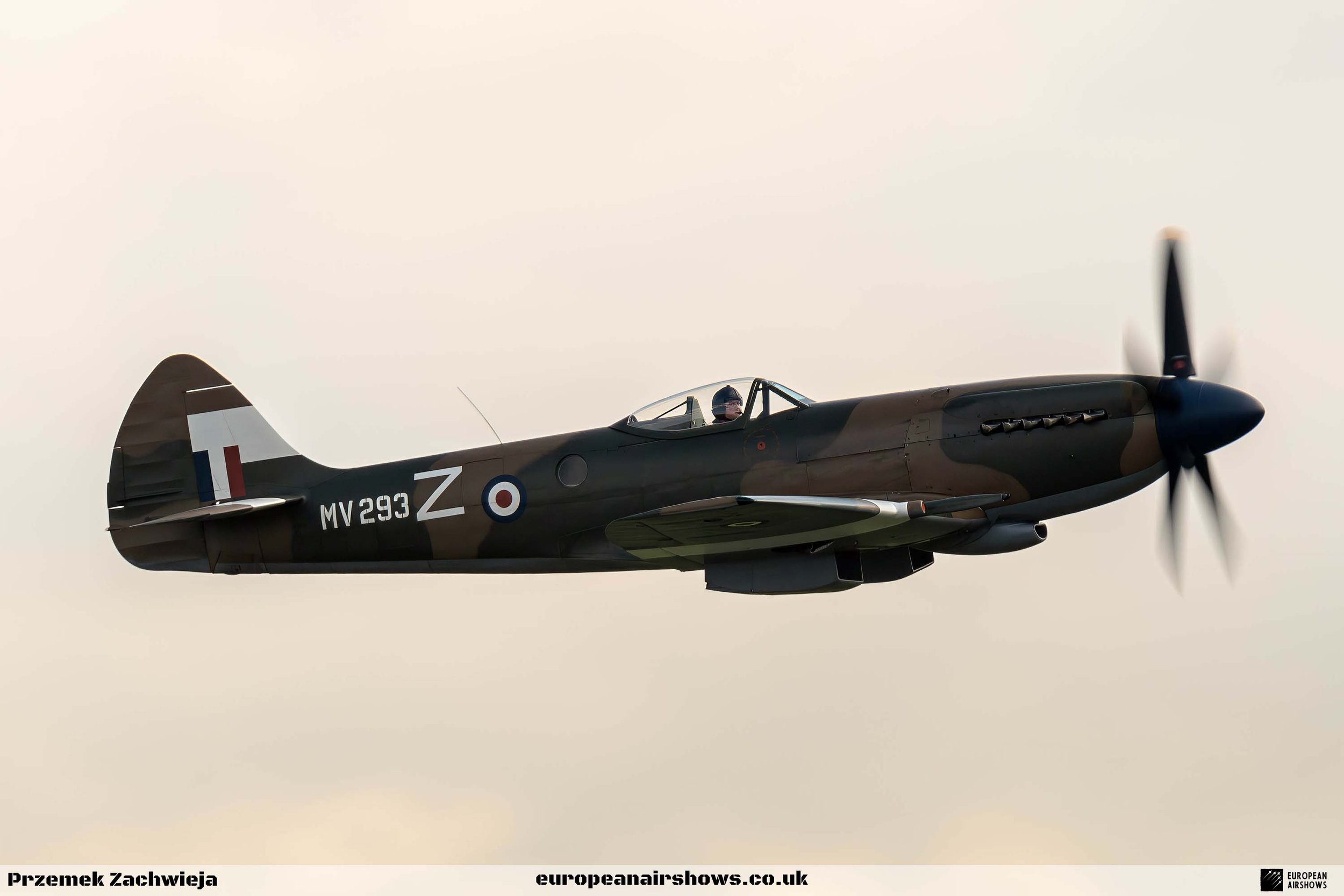 Mv Spitfire