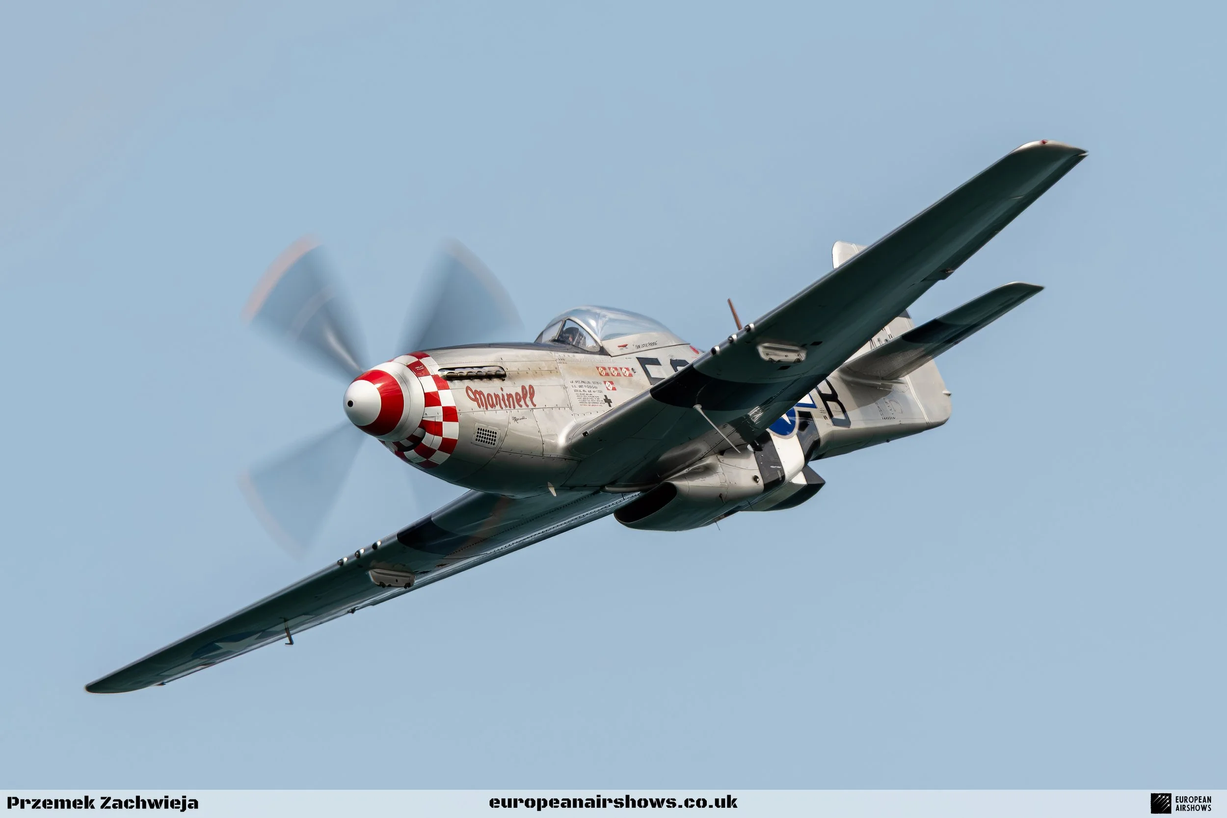 Bray 2025 Logo (45).jpg