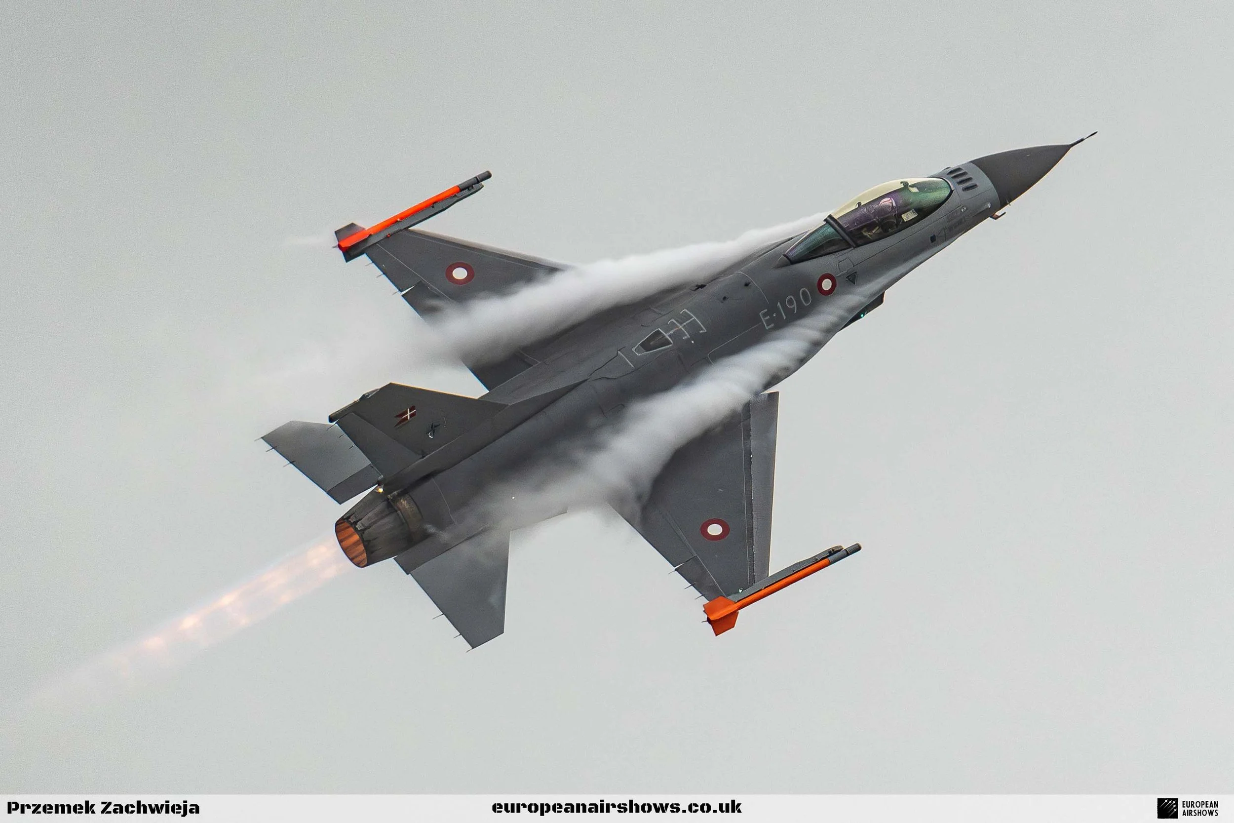 RIAT 2024 Saturday PZ Logo (119).jpg