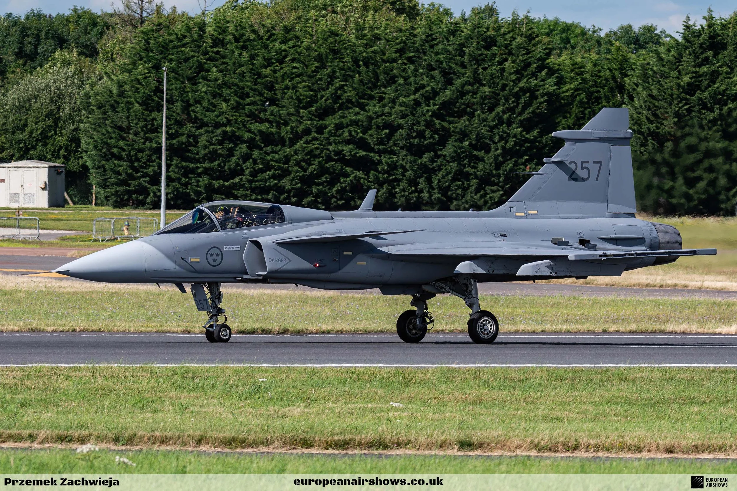 RIAT 2024 Sunday Logo (208).jpg