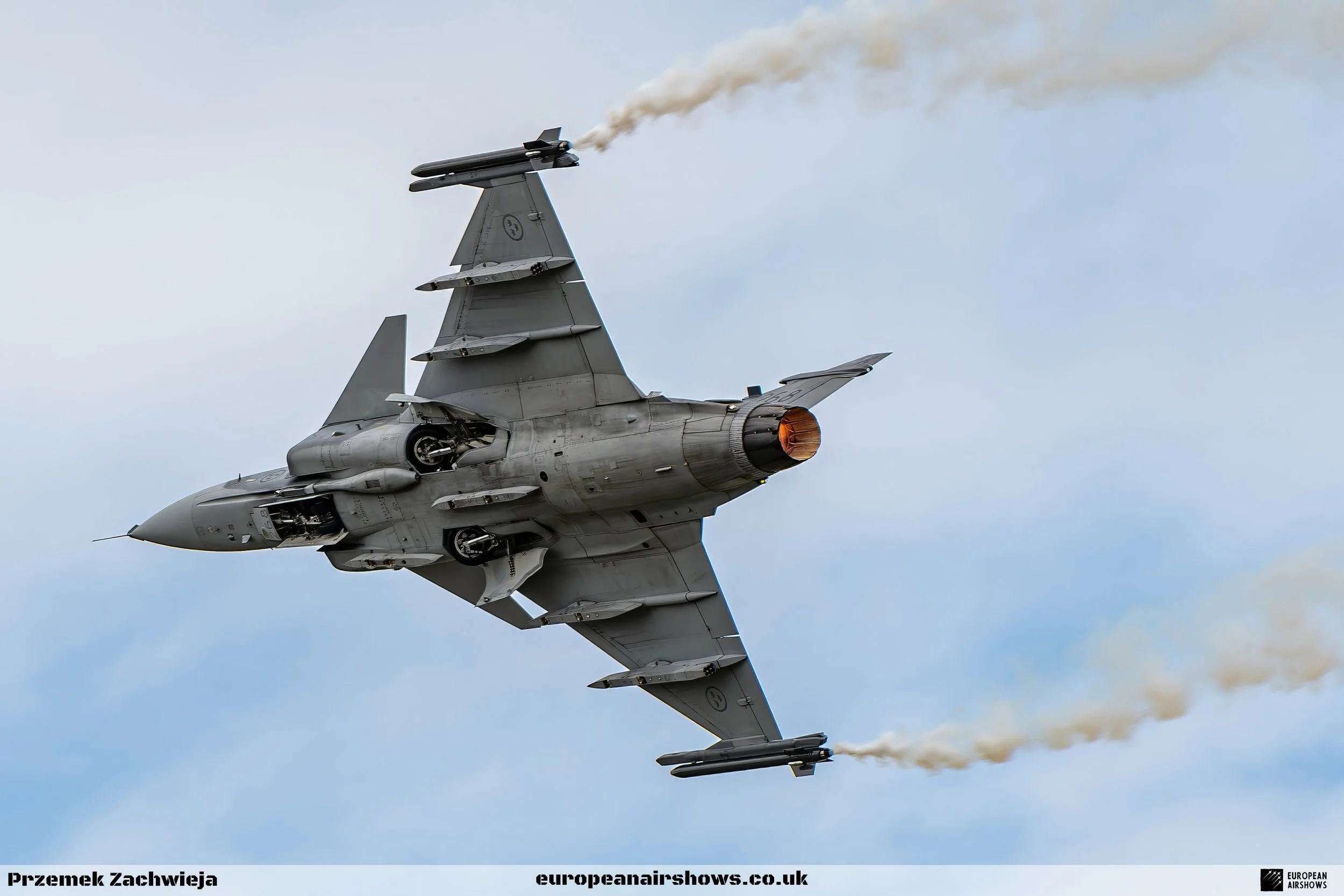 RIAT 2023 Sunday Logo (44).jpg