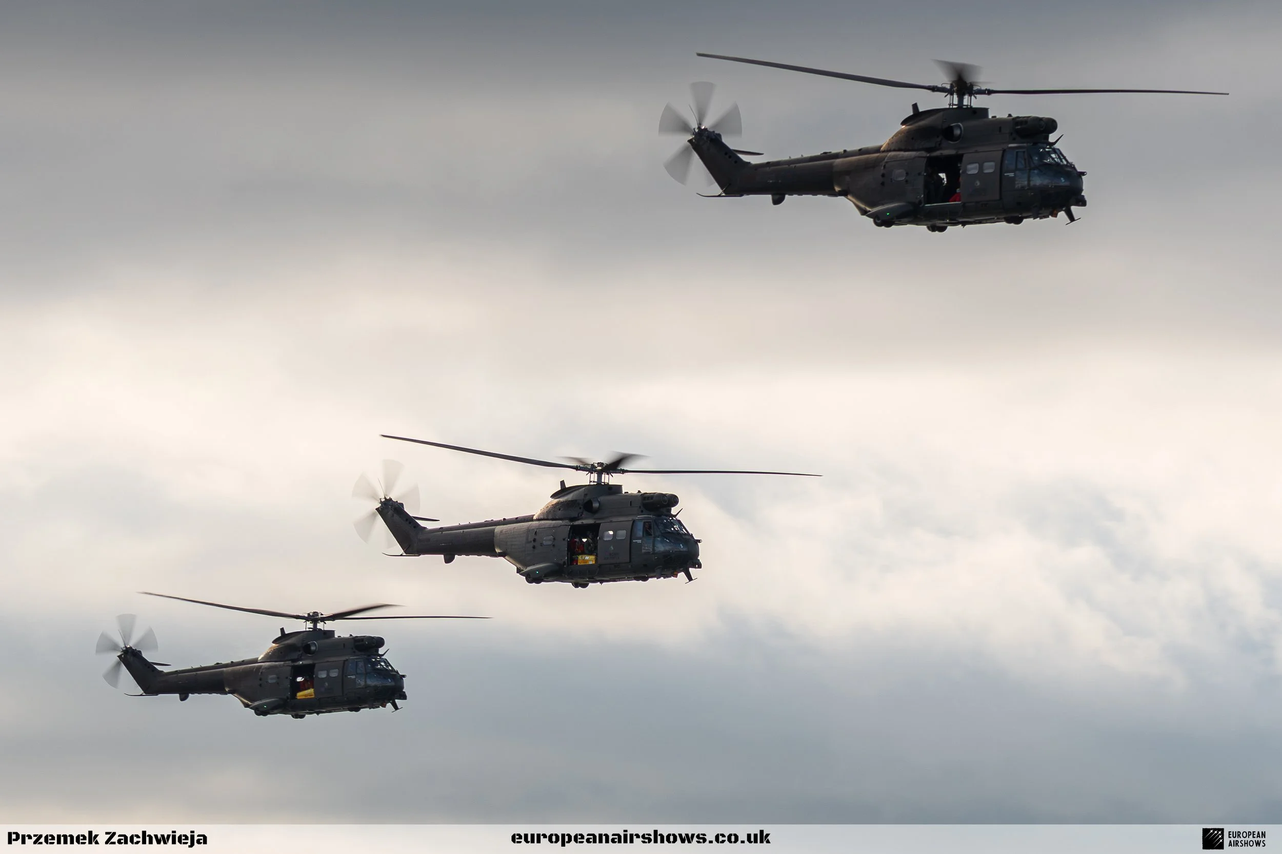 RAF Puma Farewell flight NI 2025 Logo (2).jpg