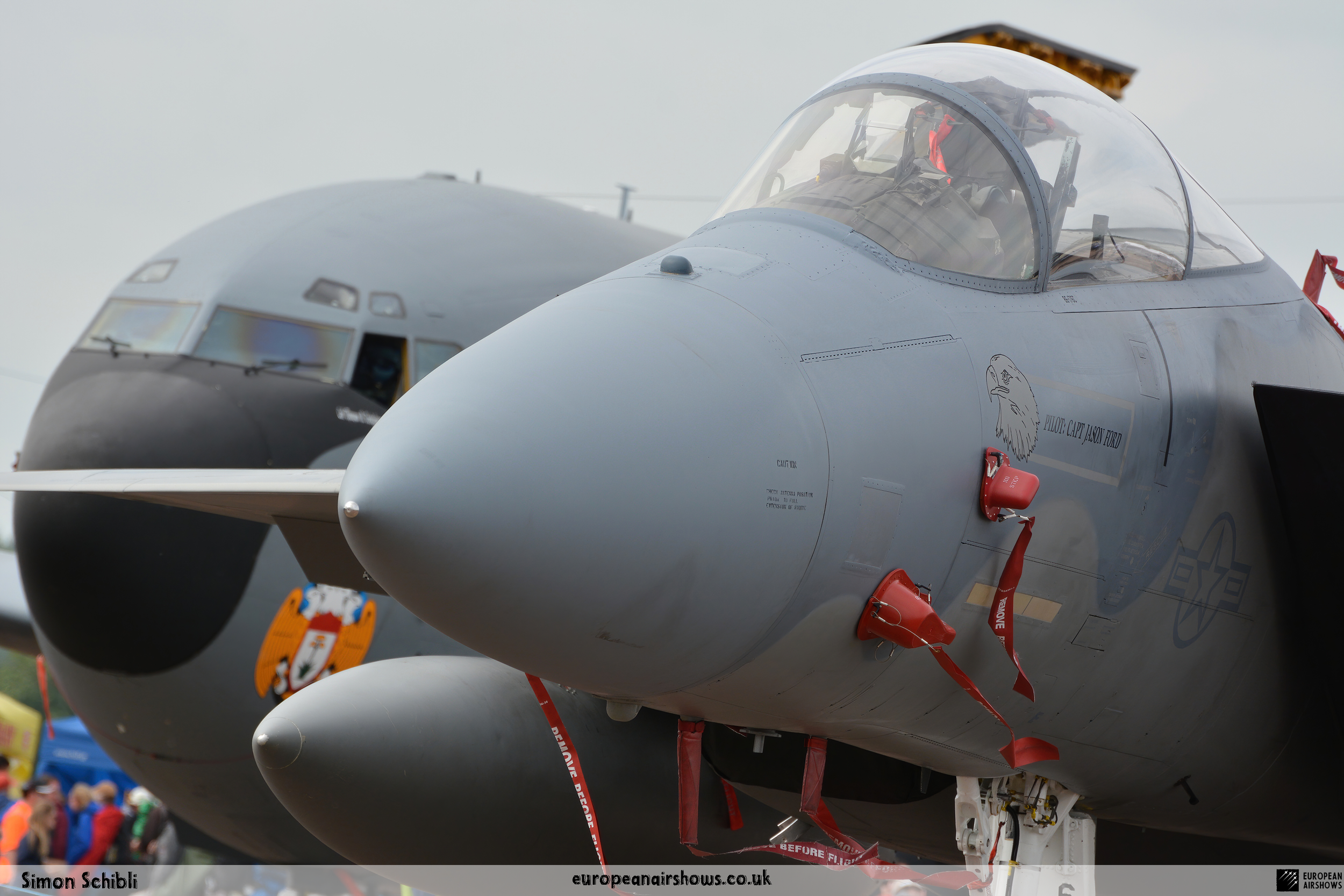RIAT 2016 Logo (466).png