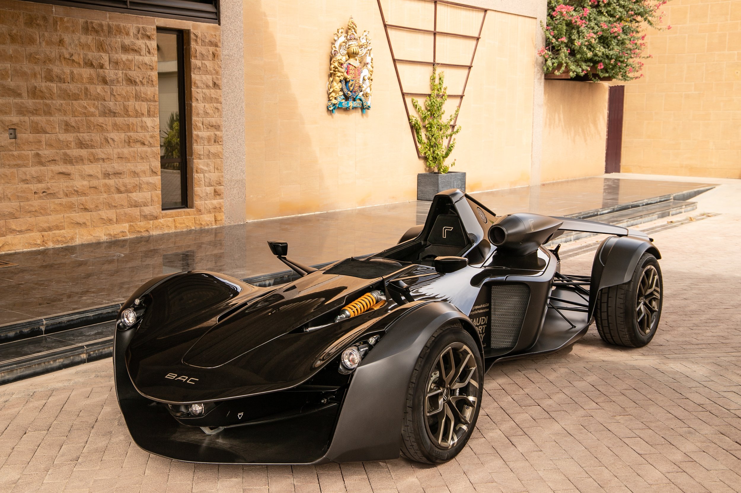 BACSaudiArabia5.jpg
