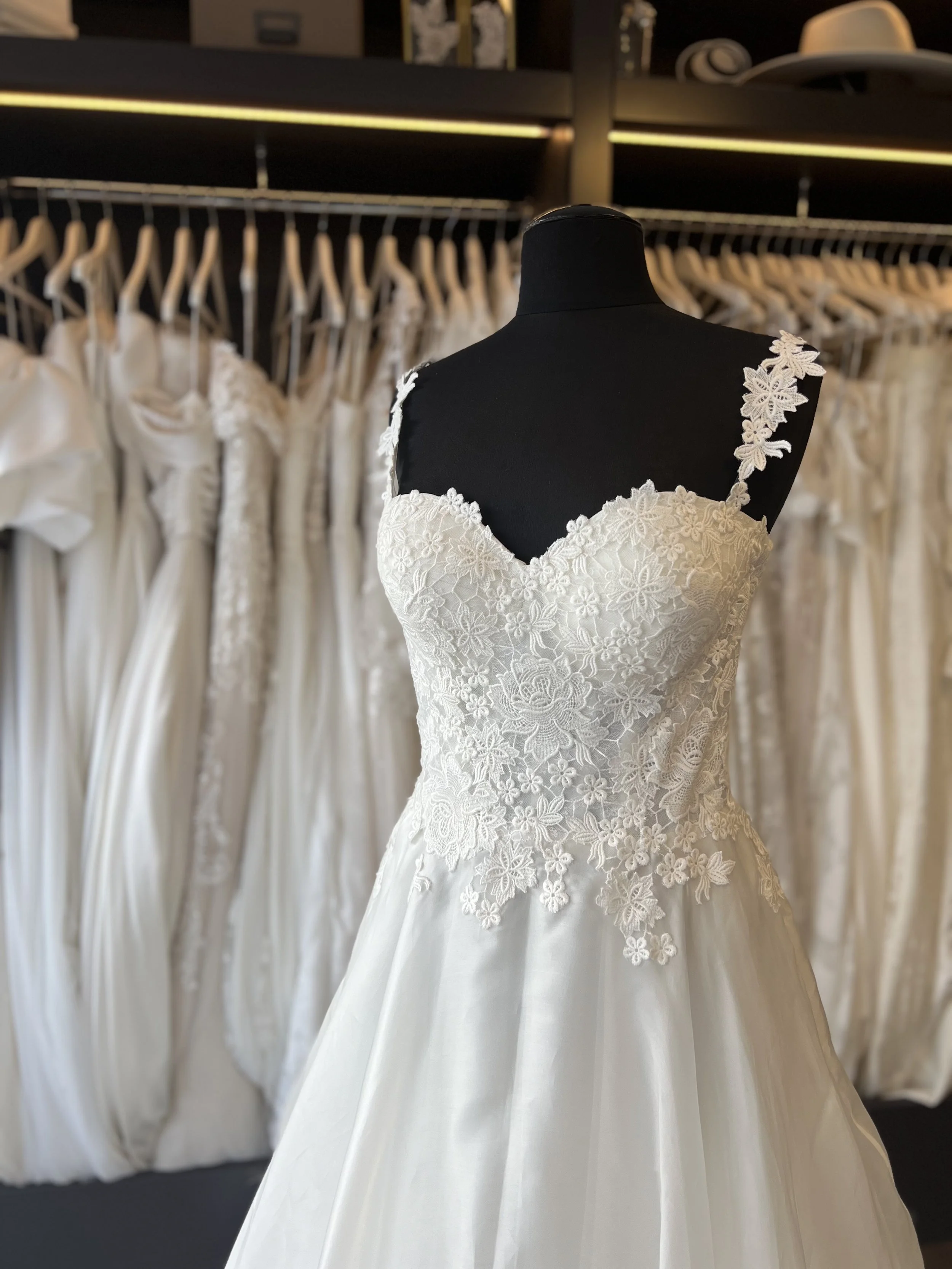 silk organza a-line skirt with modern lace cupped bodice.  delicate lace straps