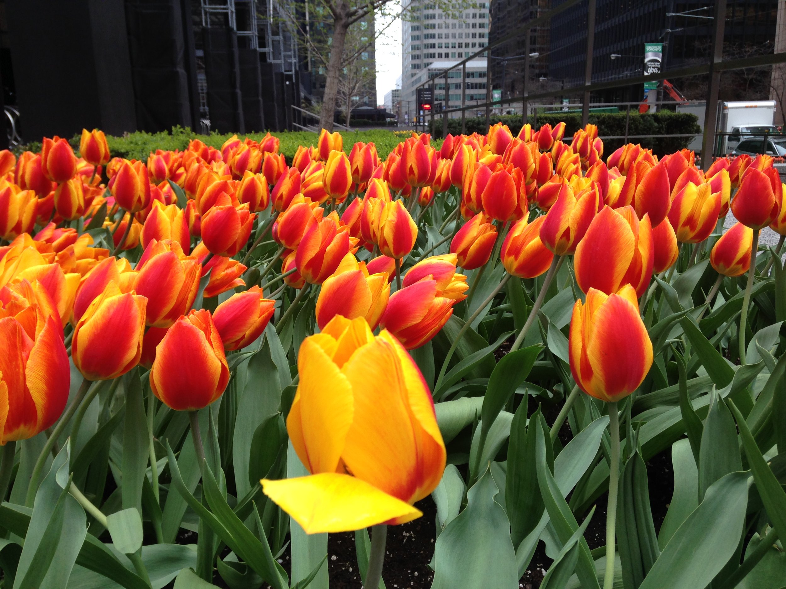 Spring-Clean Your Eating Routine 