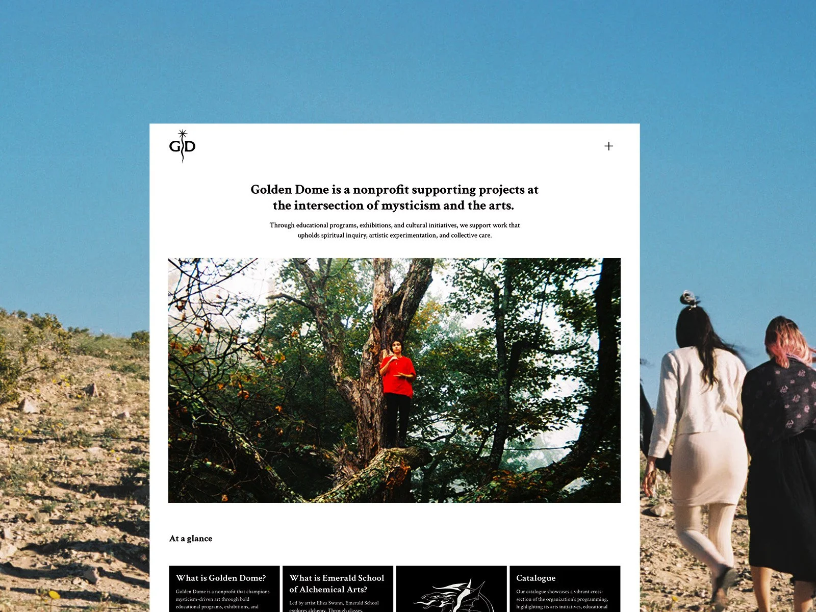 Website Design | Organization