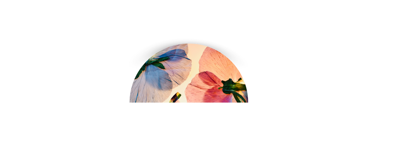 A circular area with three leaves in pastel colors, partially glitching with horizontal lines, set against a black background.