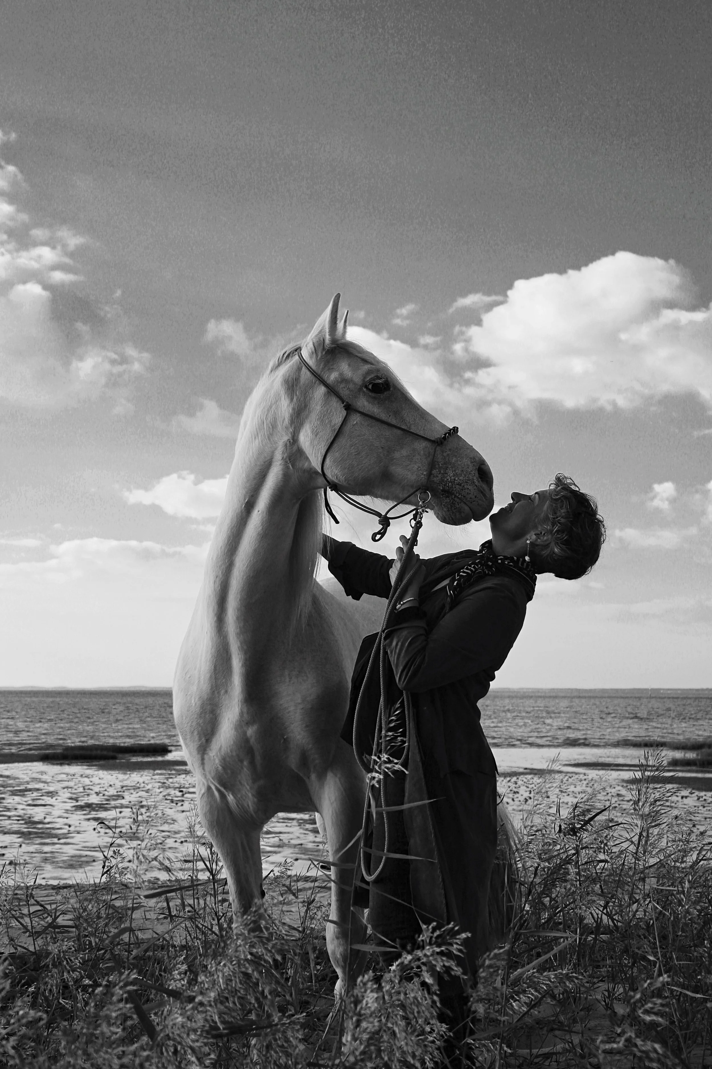 HORSEKISSBW.jpg