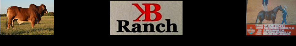 KB Ranch